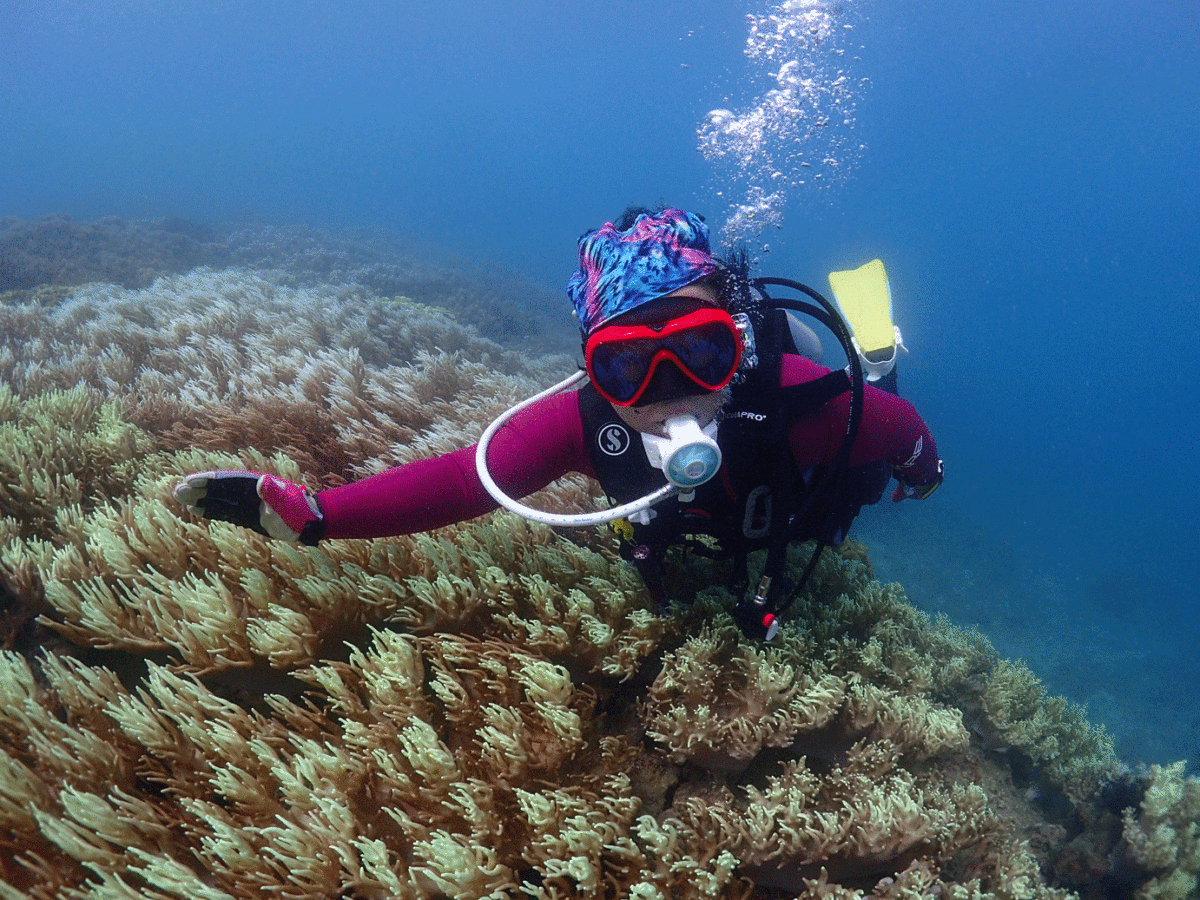 Person scuba diving underwater among coral reefs, wearing a wetsuit, mask, snorkel, and fins.