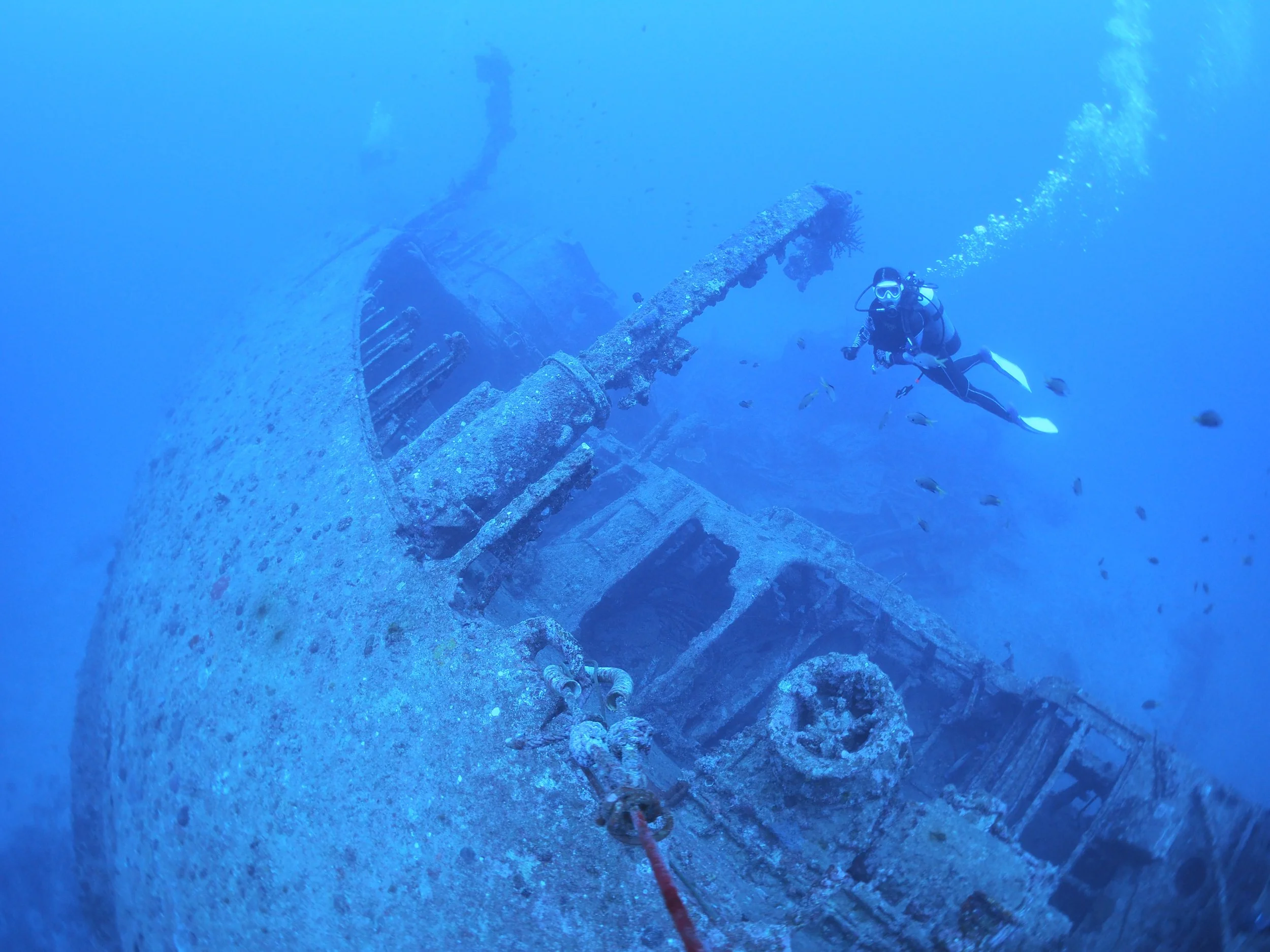 A scuba diver is exploring a sunken shipwreck underwater. The shipwreck is covered with marine growth and appears to be rusted. The diver is equipped with scuba gear, including a mask, regulator, buoyancy control device, and fins, and is swimming near the wreck on a depth with clear blue water.