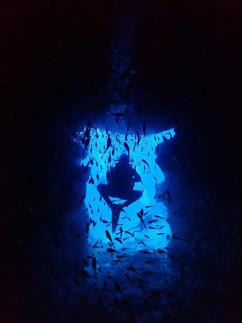 Person in scuba gear exploring an underwater cave illuminated by blue light, surrounded by a school of fish.