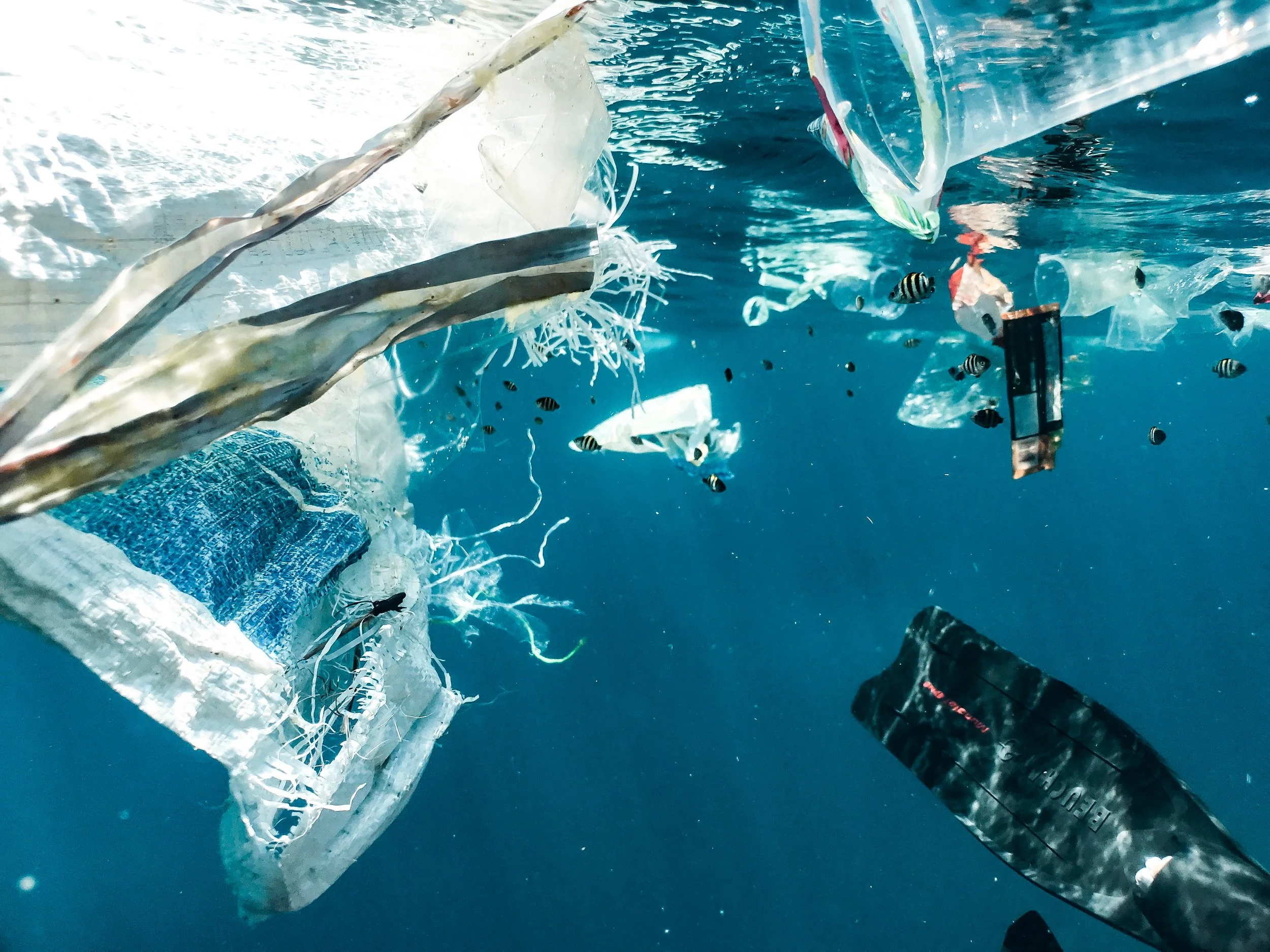 A close-up of a collection of plastic waste, including a plastic bag, bottles, and small debris, floating in water.