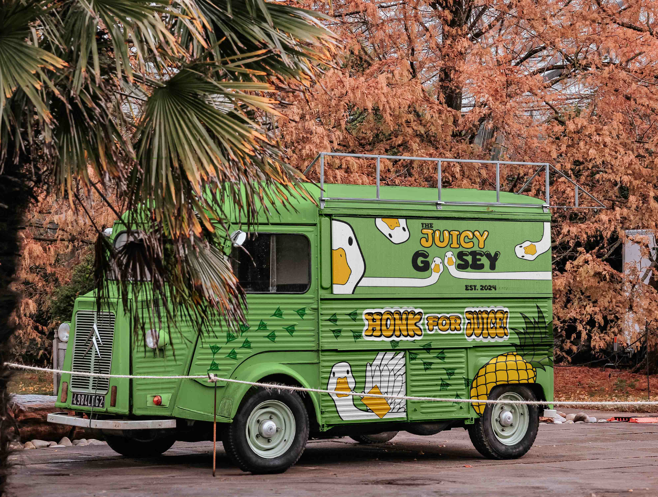 The Juicy Goosey