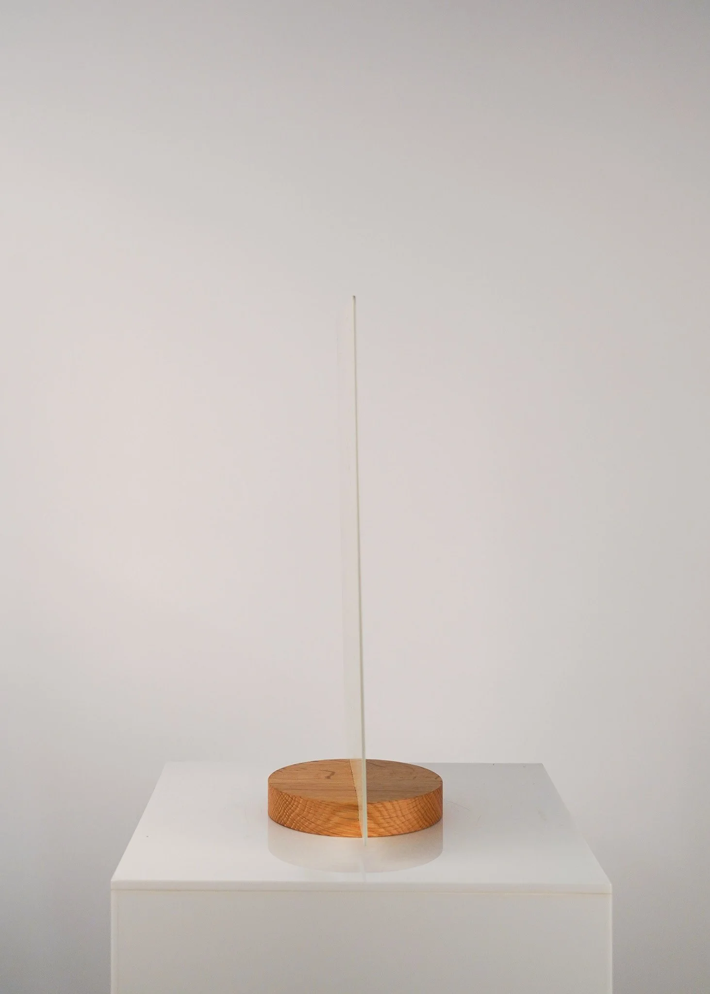 DSC01574.jpg