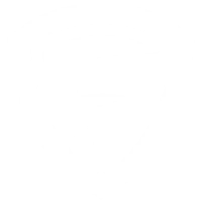 Black and white shield with a checkmark in the center, representing security or protection.