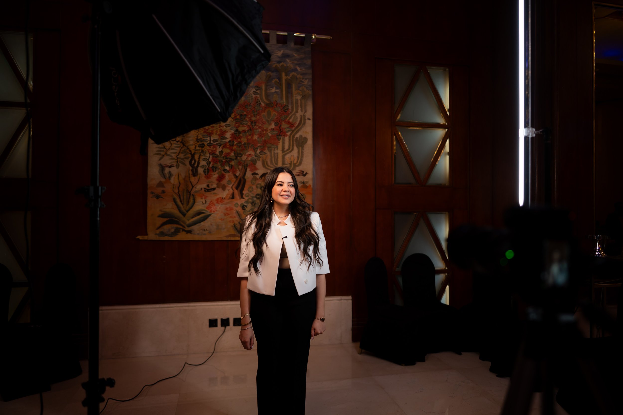 LEDFlex Egypt16.jpg