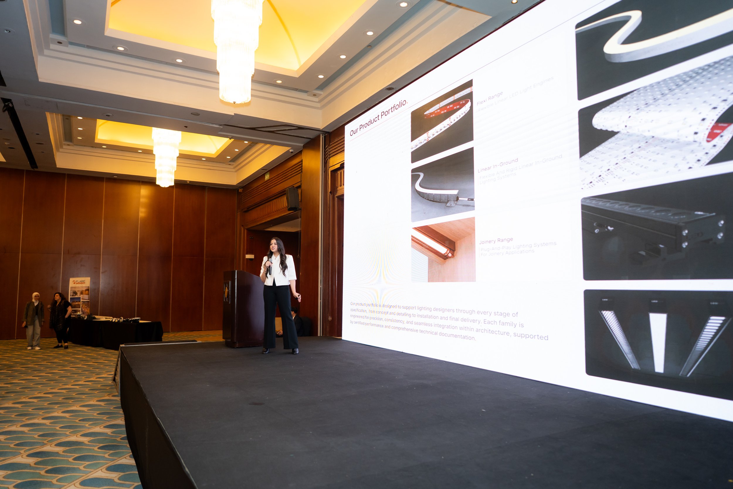 LEDFlex Egypt29.jpg