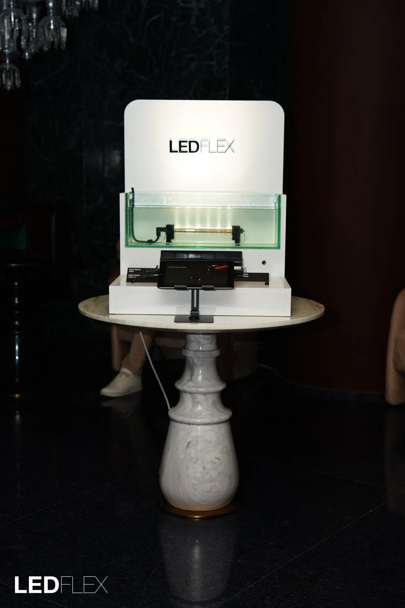 The Light Lounge Group-187.jpg