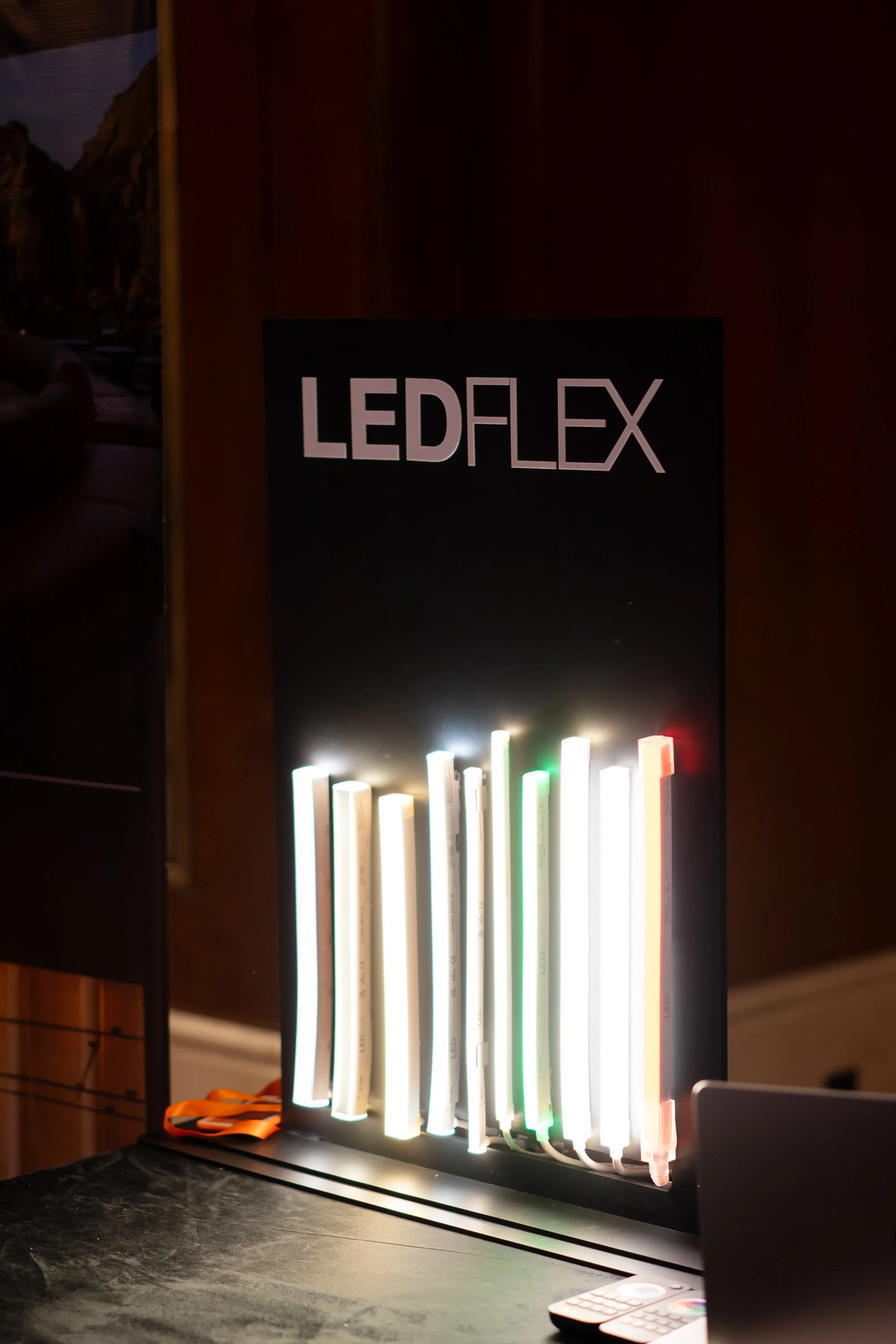 LEDFlex Egypt13.jpg
