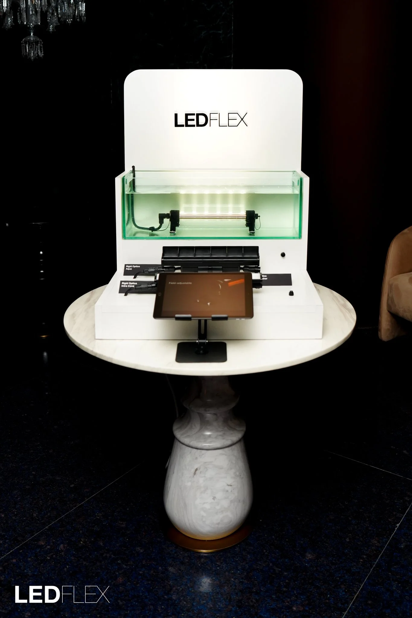 The Light Lounge Group-189.jpg