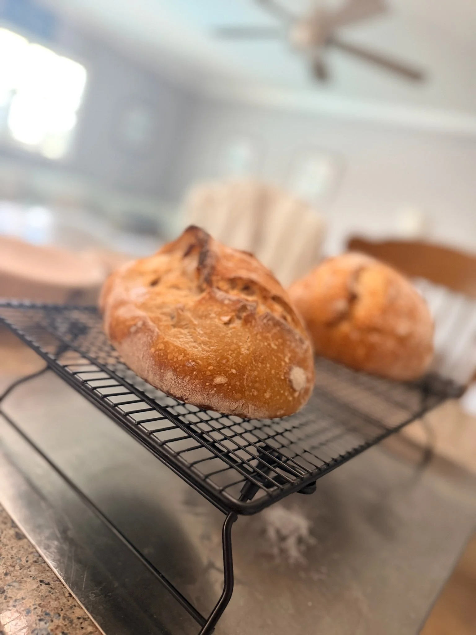 Close-up view of freshly baked bread rolls cooling on a wire rack in a kitchen.