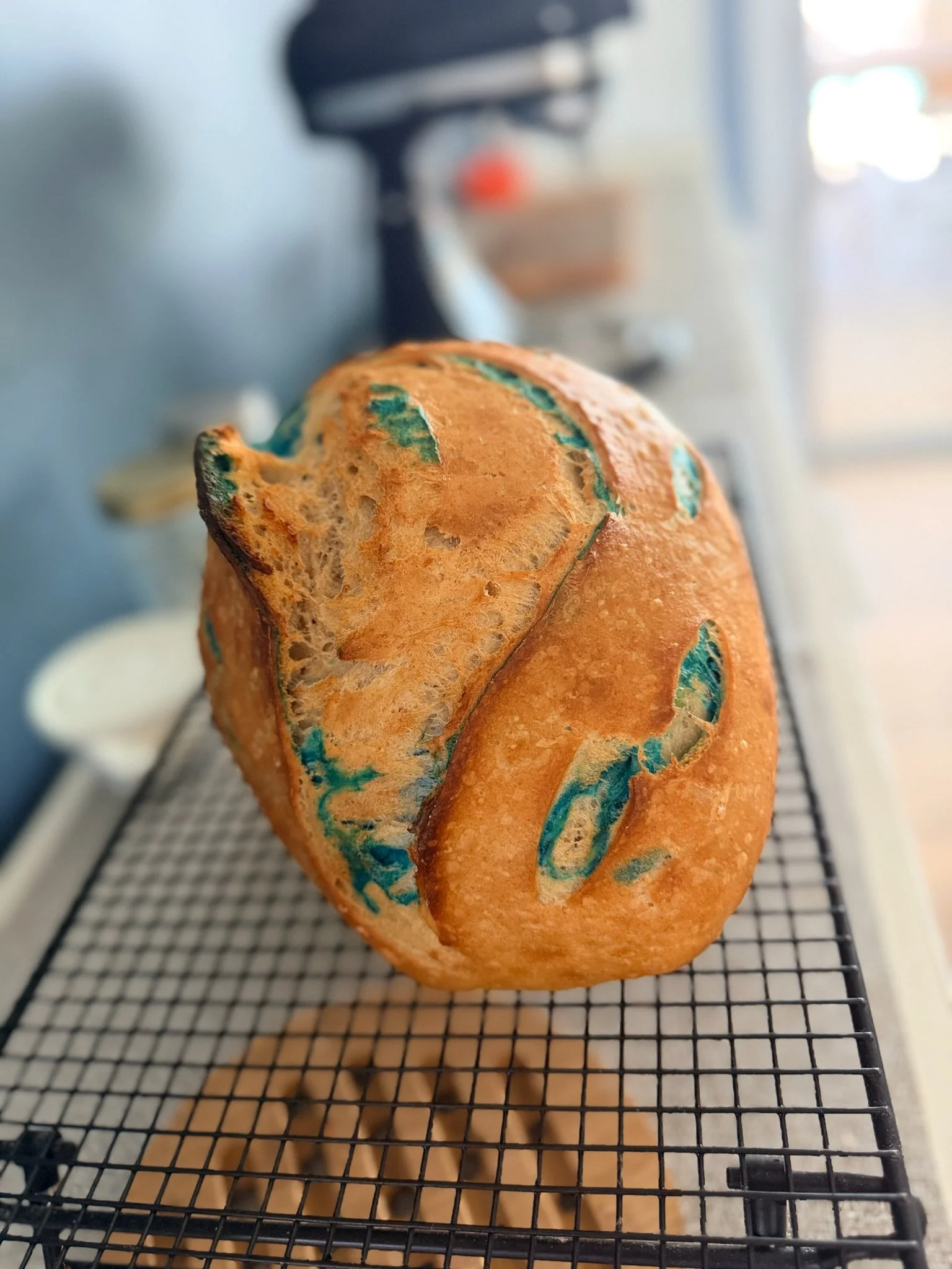 Colorfully decorated dog bone-shaped cookie on a wire cooling rack in a kitchen.