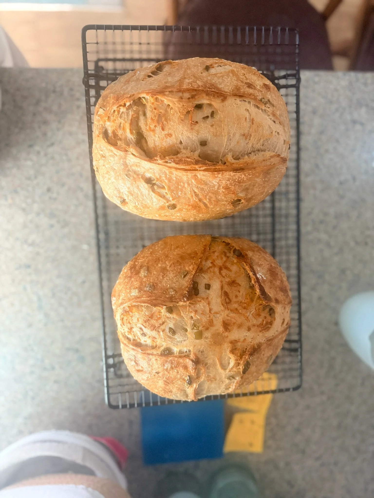 Two freshly baked bread rolls with a golden brown crust on a cooling rack, seen from above on a gray countertop.