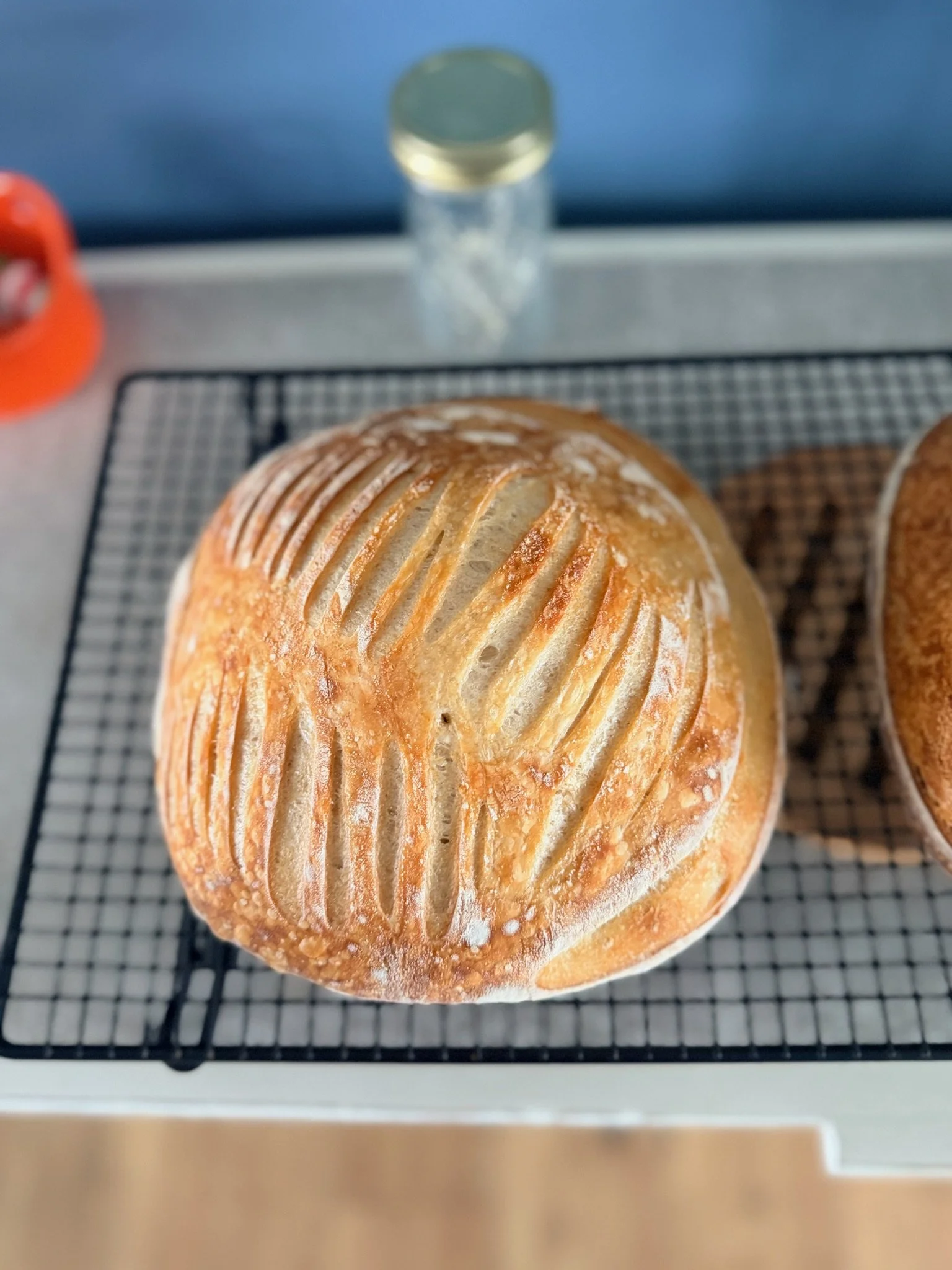 A round loaf of bread with scored top sitting on a cooling rack in an oven or kitchen.