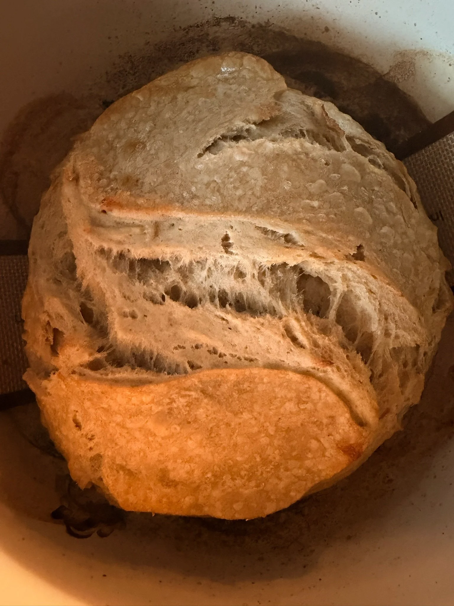 Close-up of bread dough rising in a bread machine, with visible air pockets and a rustic texture.