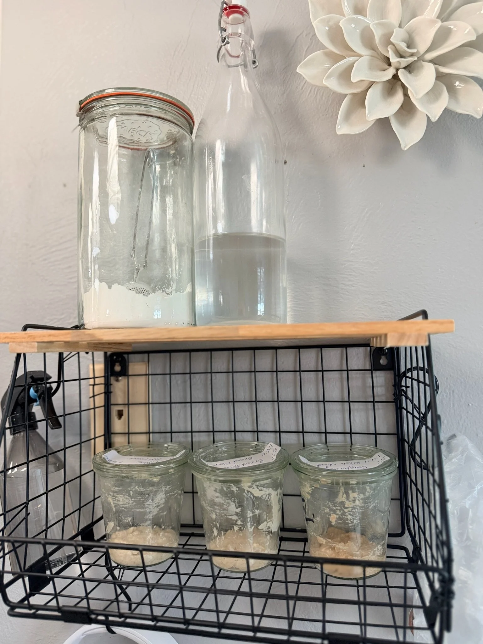 A black wire storage rack with a wooden top shelf holding several glass jars filled with homemade kombucha, with a white wall and decorative white flower in the background.