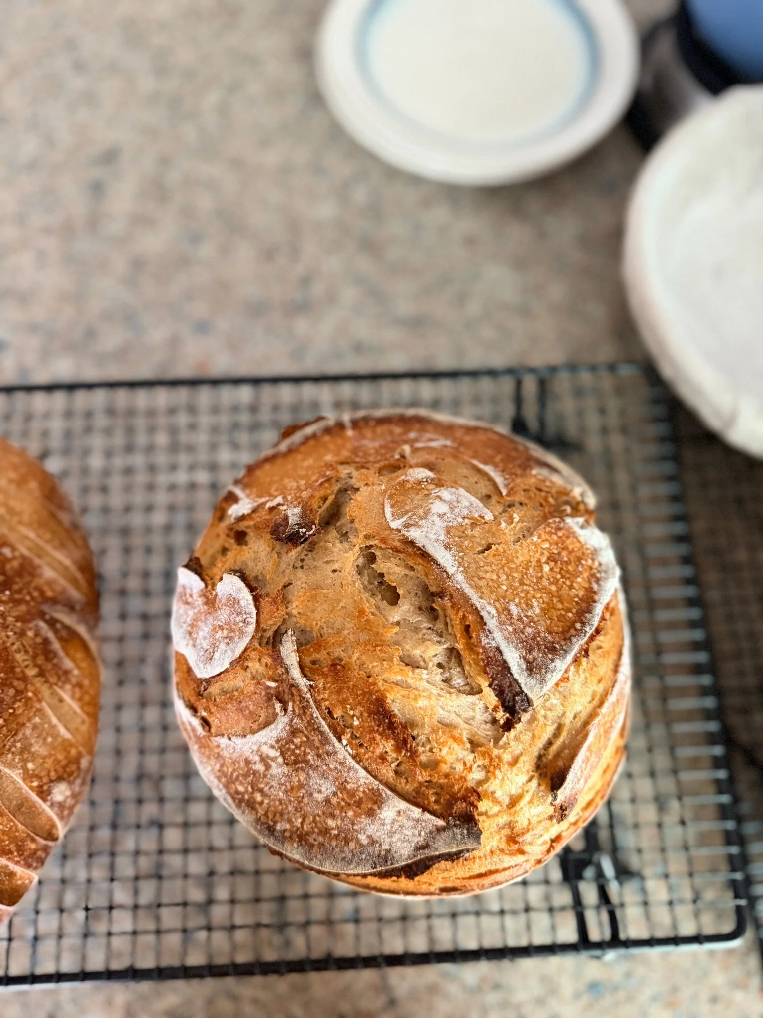 Close-up of a freshly baked bread roll with a cracked crust and a dusting of flour on top, cooling on a wire rack.