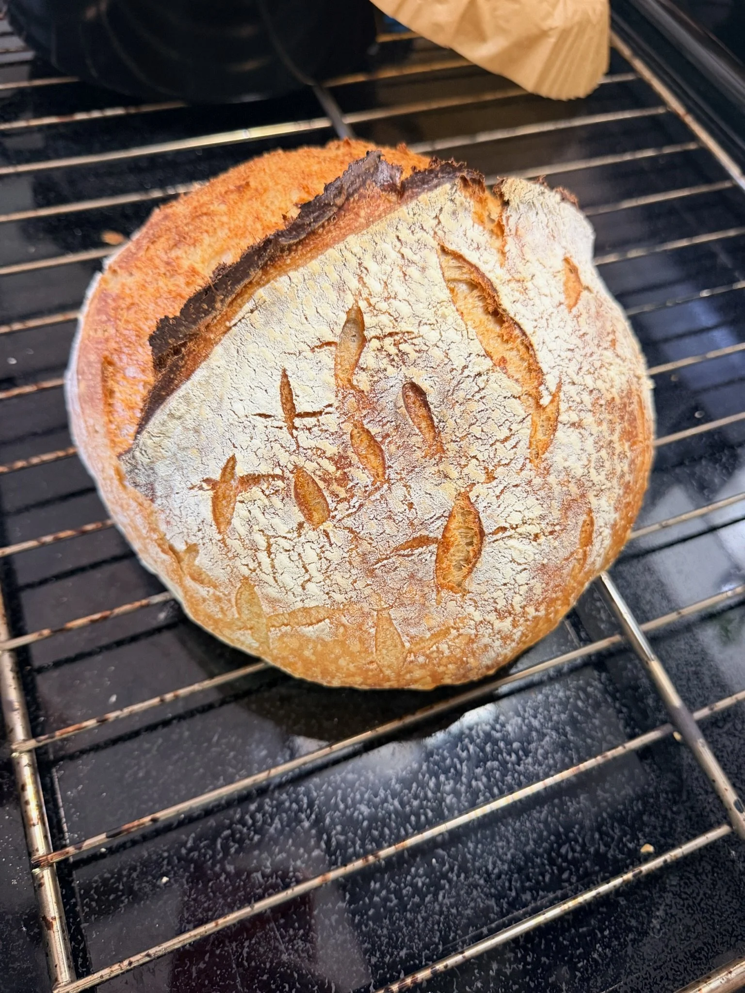 Round loaf of bread baking on an oven rack, with a dusting of flour on top and a decorative pattern.