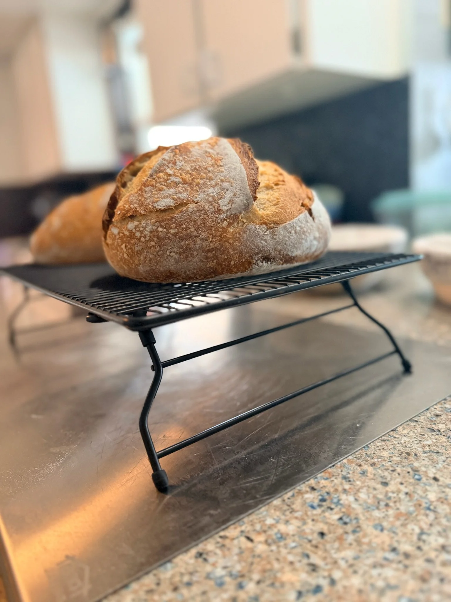 Fresh baked bread on a cooling rack in a kitchen.