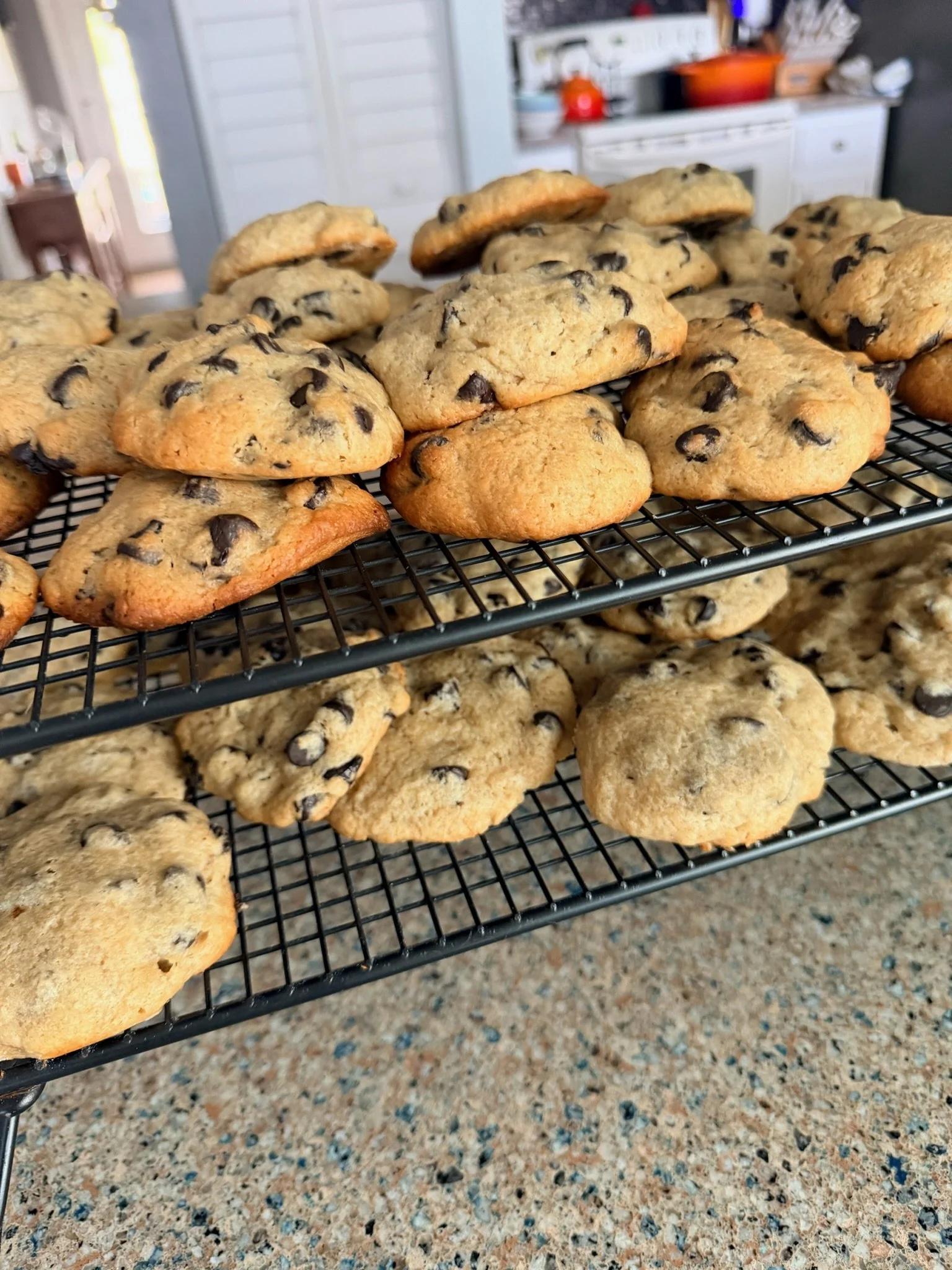 A cooling rack filled with freshly baked chocolate chip cookies on a speckled countertop in a kitchen.