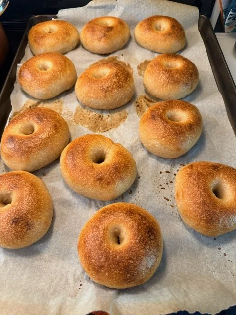 A baking sheet with twelve freshly baked bagels on parchment paper.