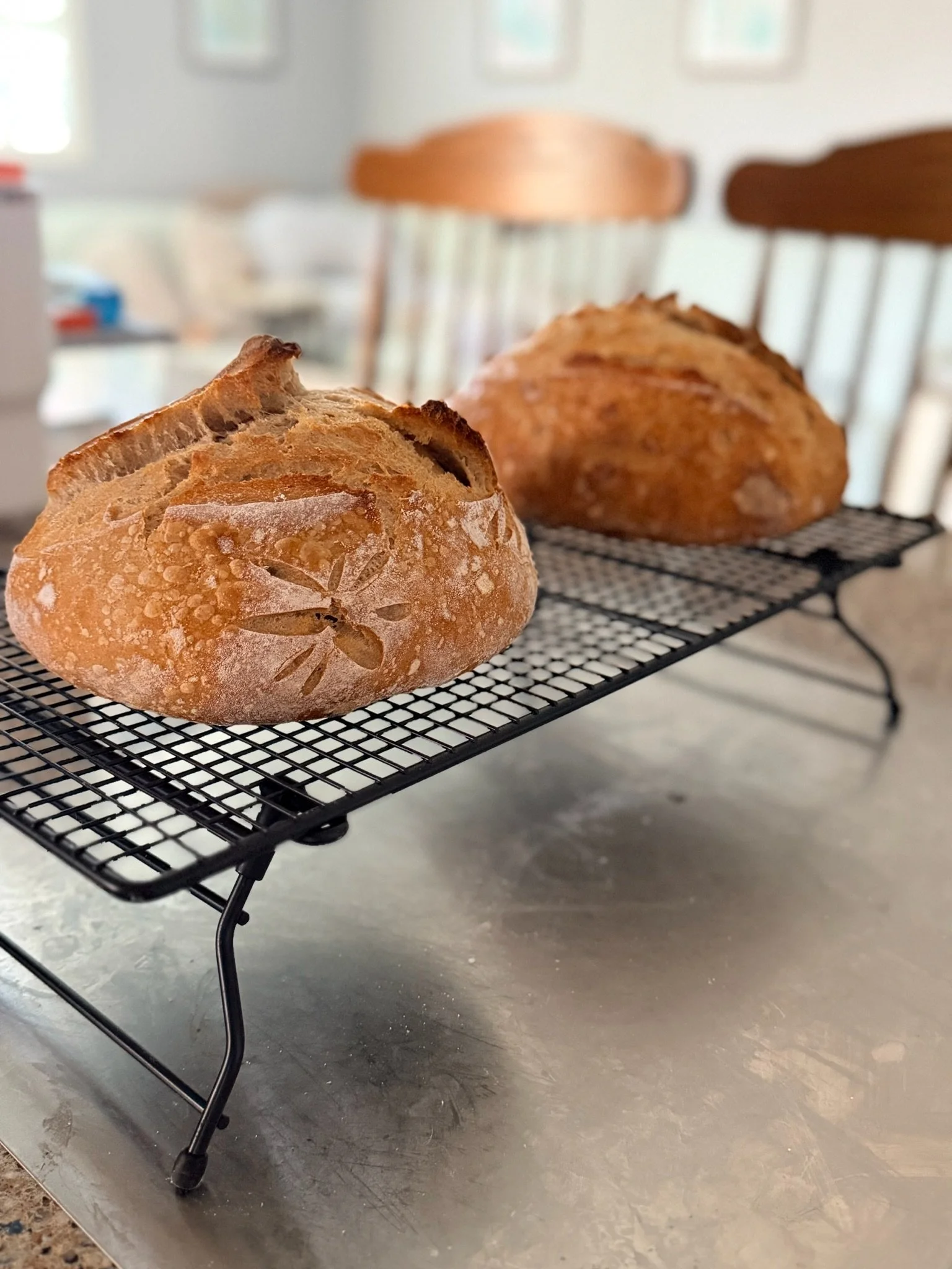Two loaves of bread cooling on a black wire rack in a home kitchen.