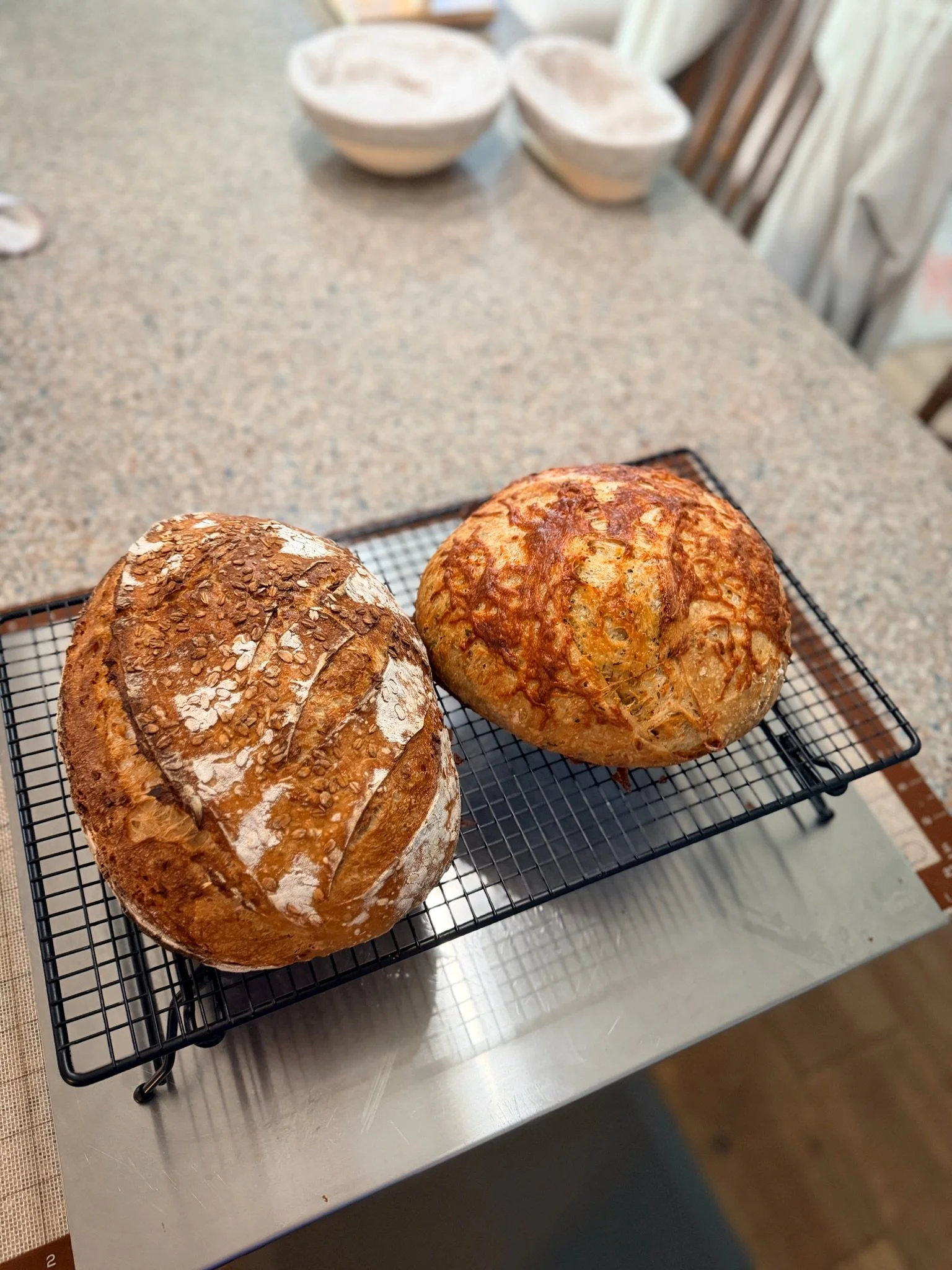 Two freshly baked rolls, one topped with oats and the other with cheese, resting on a black wire cooling rack on a kitchen countertop.