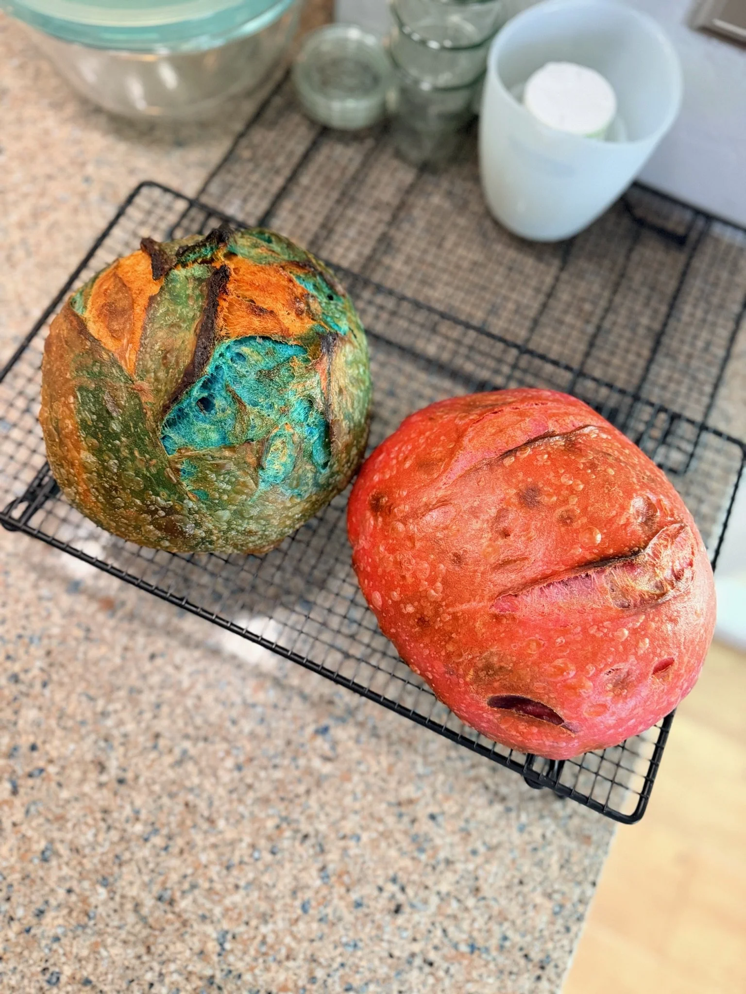 Two large, colorful pumpkins resting on a wire cooling rack on a speckled countertop, with kitchen utensils and containers in the background.