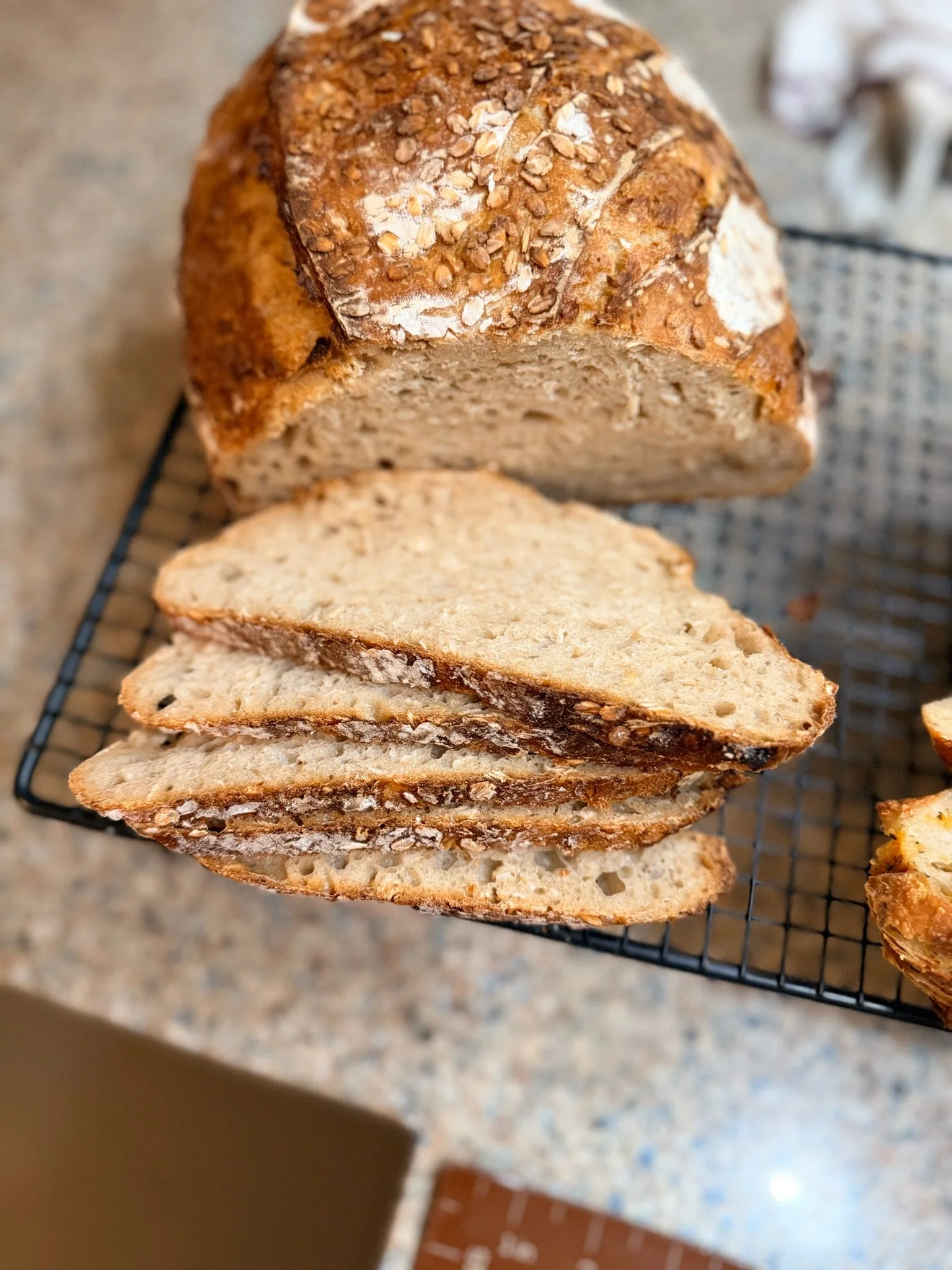 Several slices of toasted bread with a crunchy crust on a cooling rack, showing a soft interior. The bread appears to have oats or grains on top.