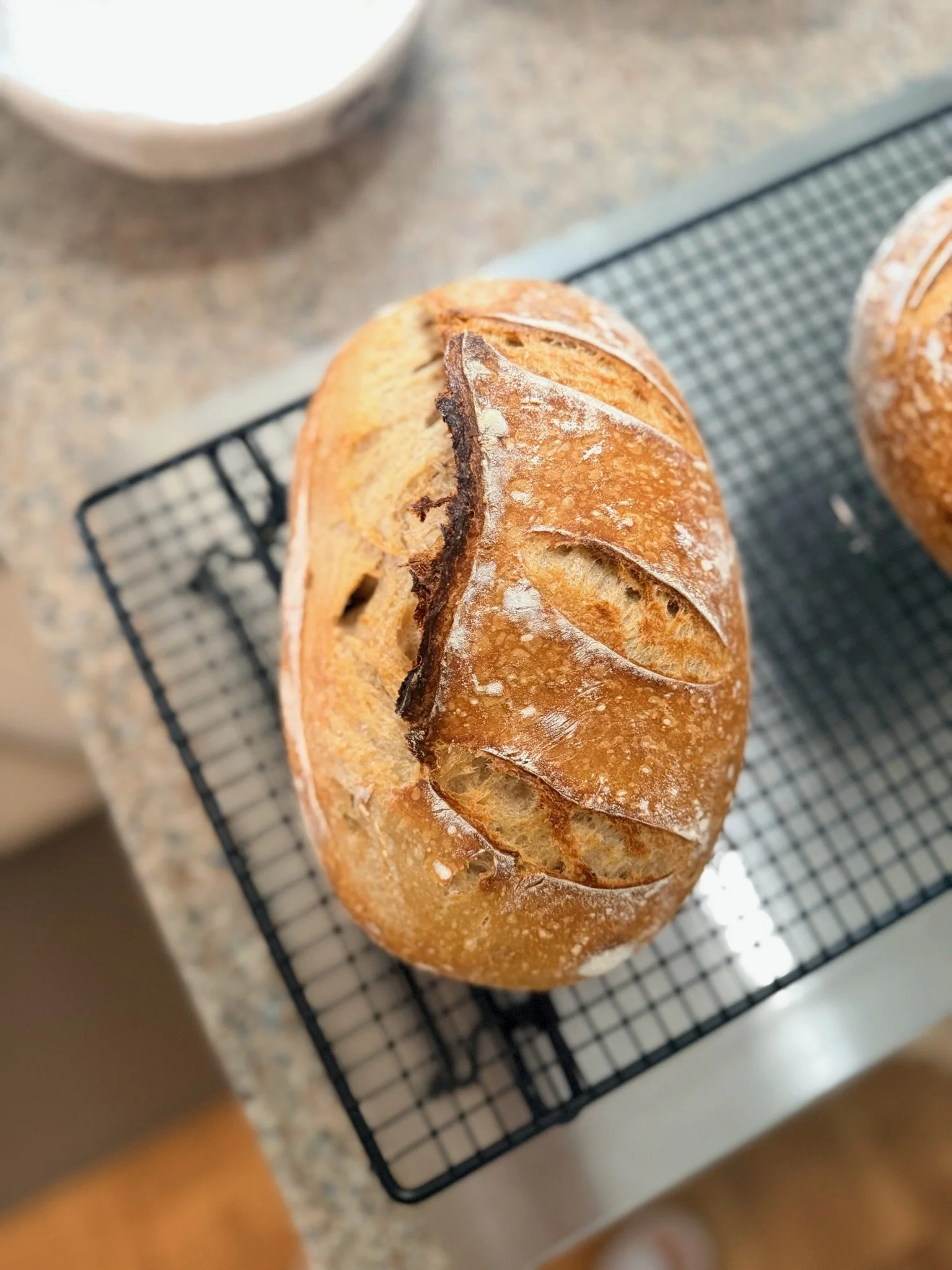 A freshly baked loaf of bread with a golden-brown crust resting on a black wire cooling rack on a kitchen countertop.