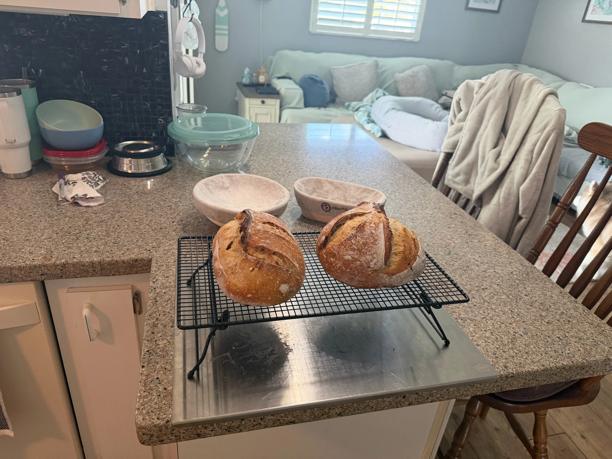 Two freshly baked round loaves of bread with crusty tops on a cooling rack on a kitchen island countertop.