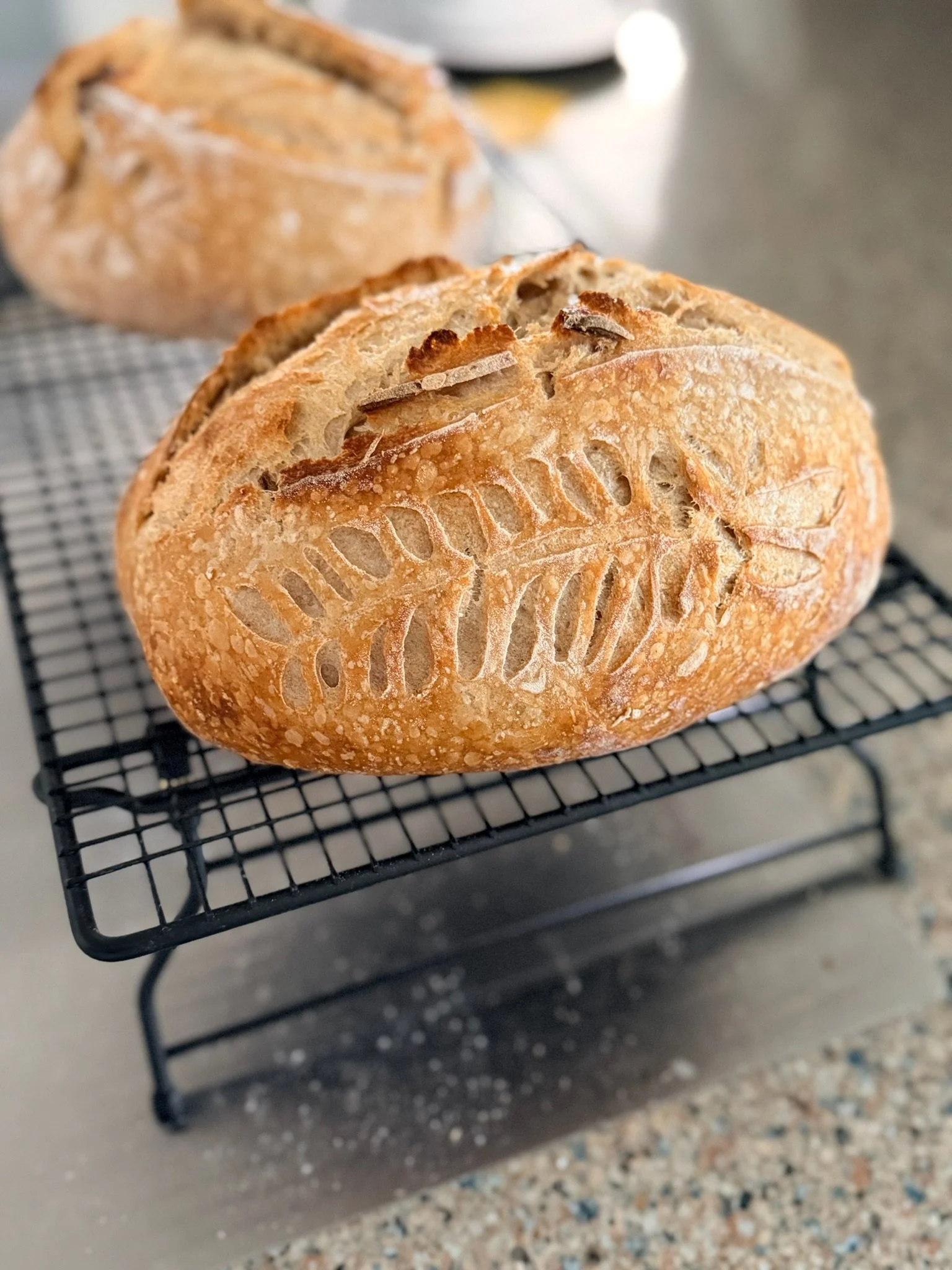 A loaf of freshly baked bread with a decorative scoring pattern on top, resting on a wire cooling rack on a kitchen counter.