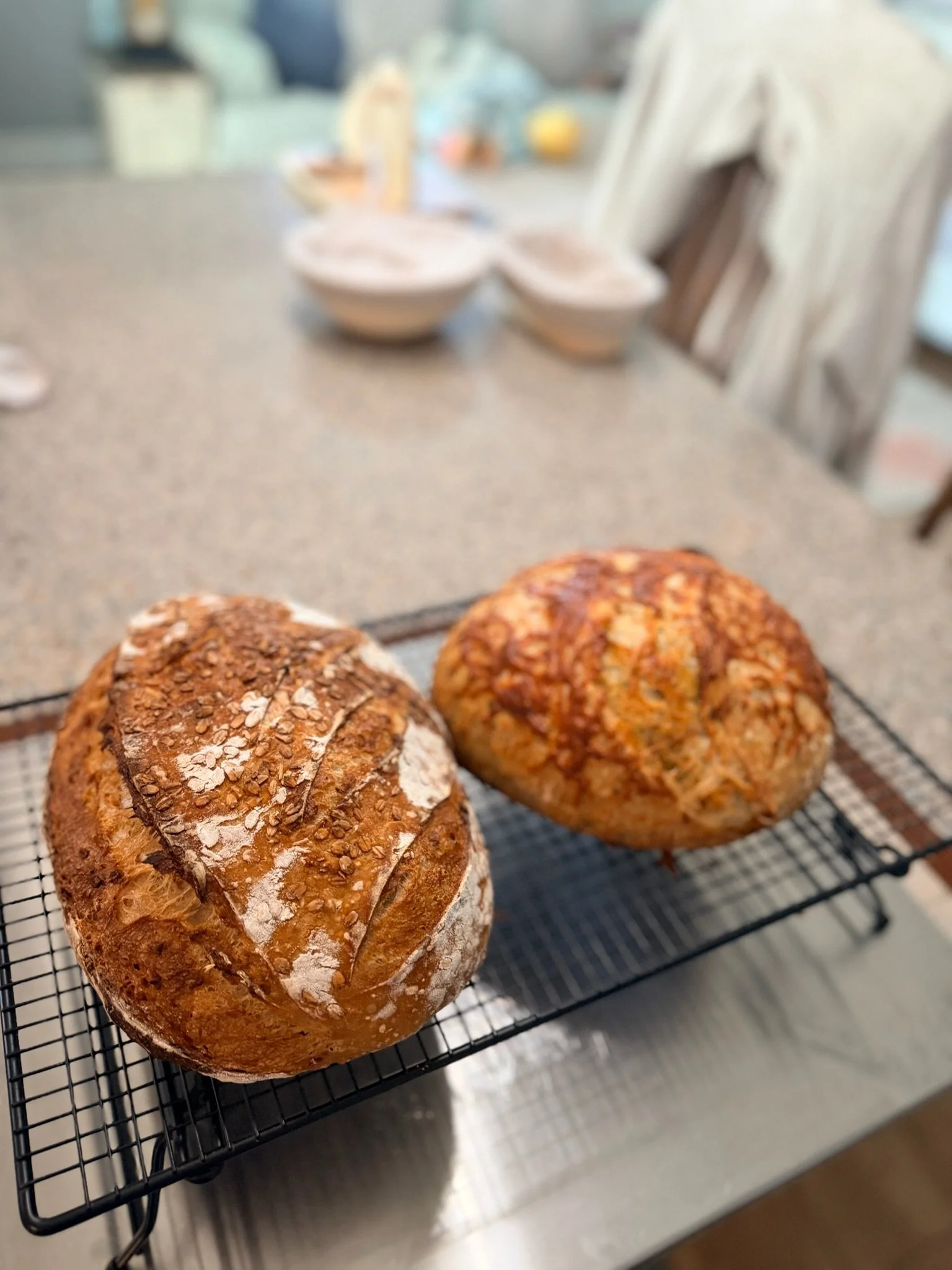 Two loaves of bread cooling on a black wire rack in a kitchen. The bread has a crusty top with nuts and oats.