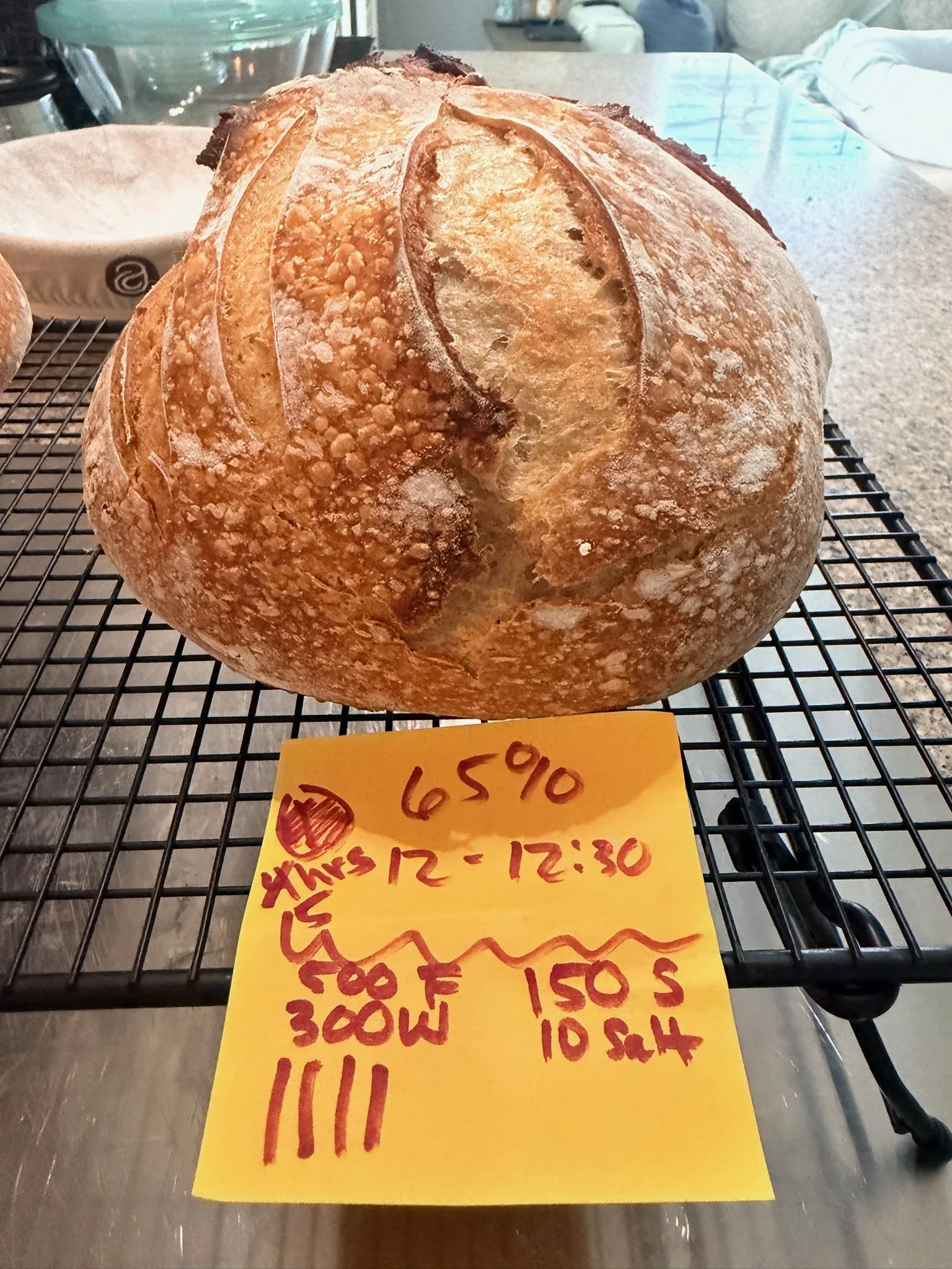 Close-up of a round loaf of crusty bread resting on a cooling rack in a bakery or kitchen setting.