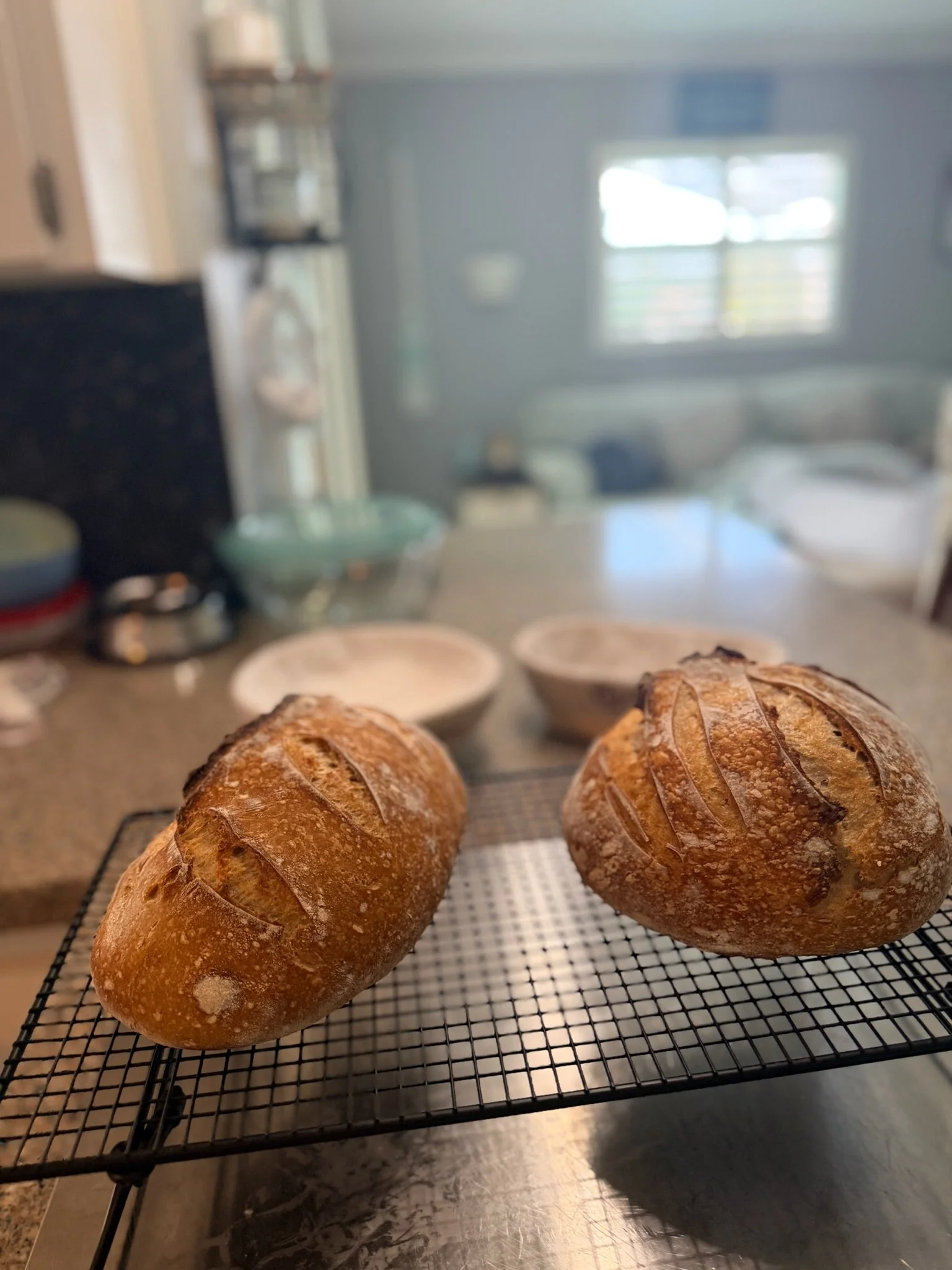 Two freshly baked bread rolls cooling on a wire rack on a kitchen countertop. The background shows a blurred view of a kitchen with a window, cabinets, and kitchen appliances.