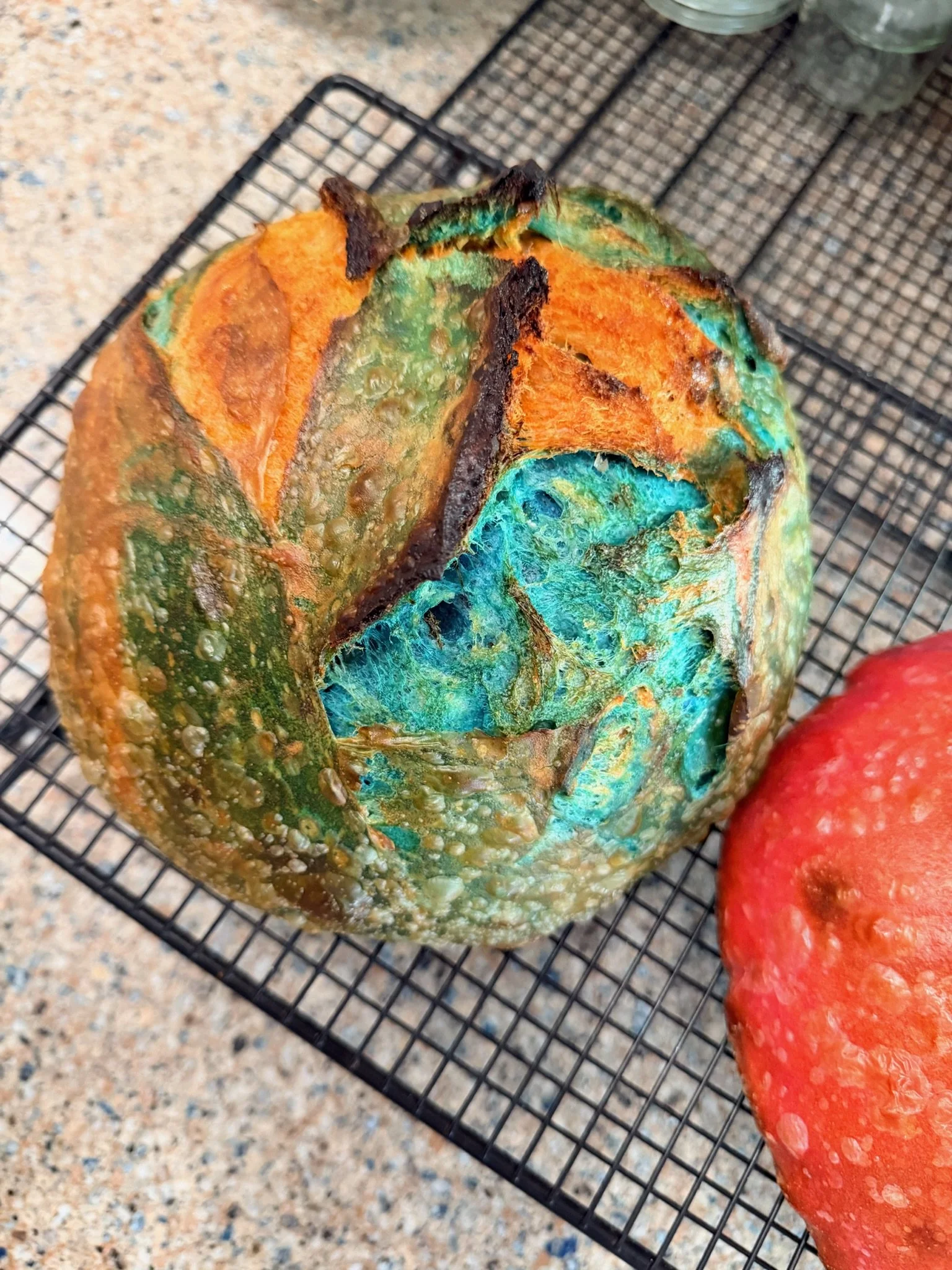 Close-up of a moldy orange and green squash on a cooling rack with a red apple and glass jars in the background.