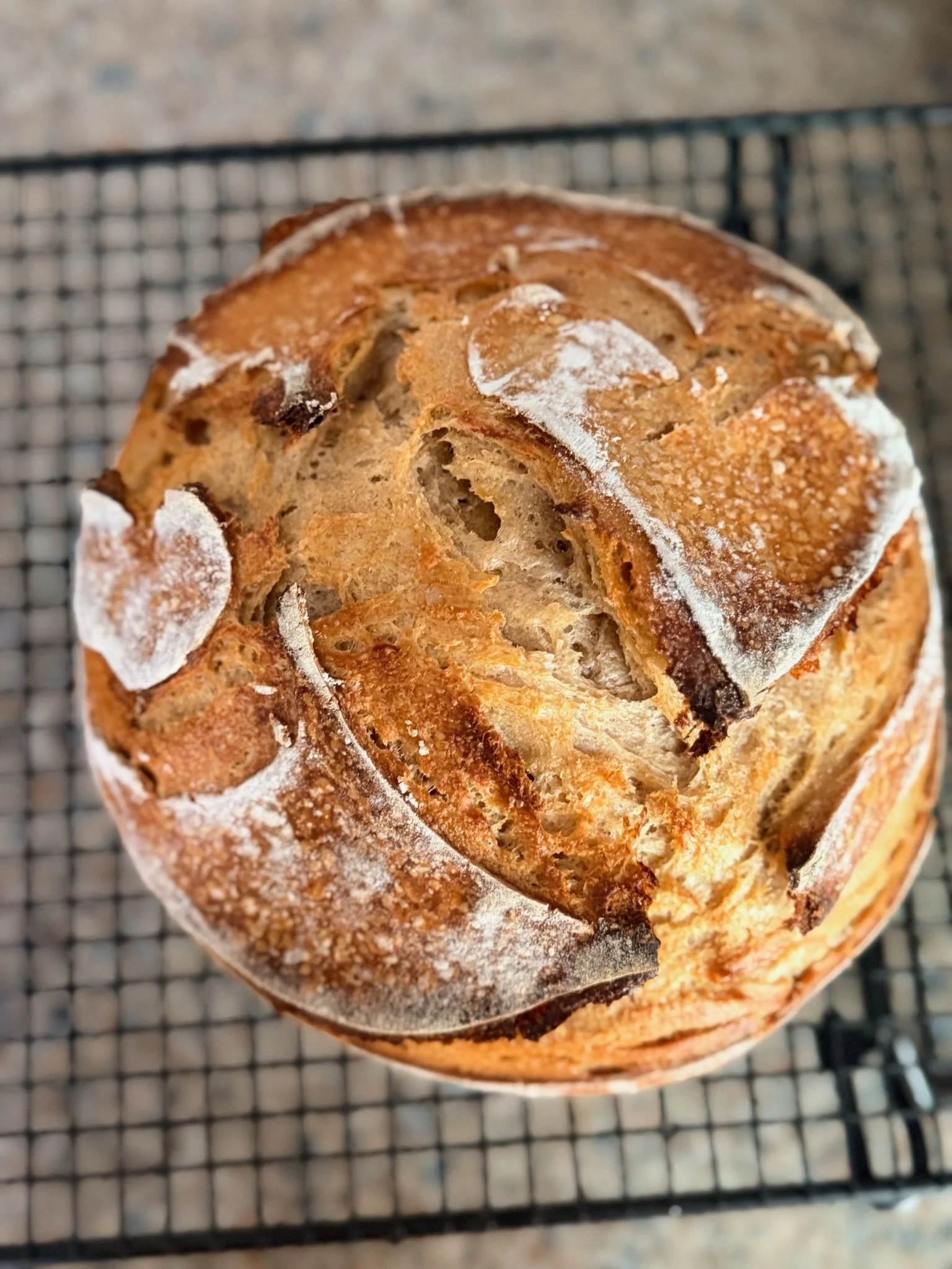 Close-up of a toasted loaf of bread with a golden-brown crust and dusted with flour, resting on a wire cooling rack.