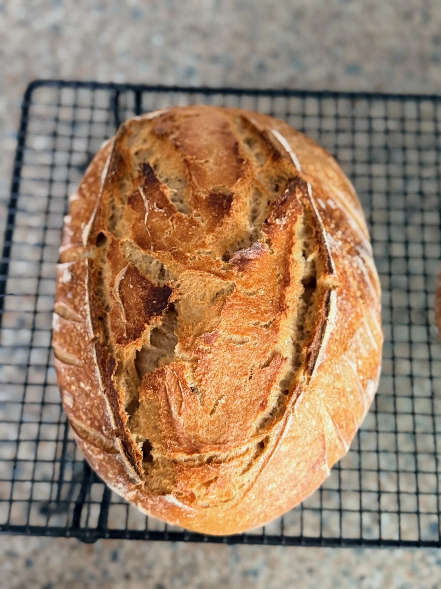 A loaf of crusty bread on a wire cooling rack.