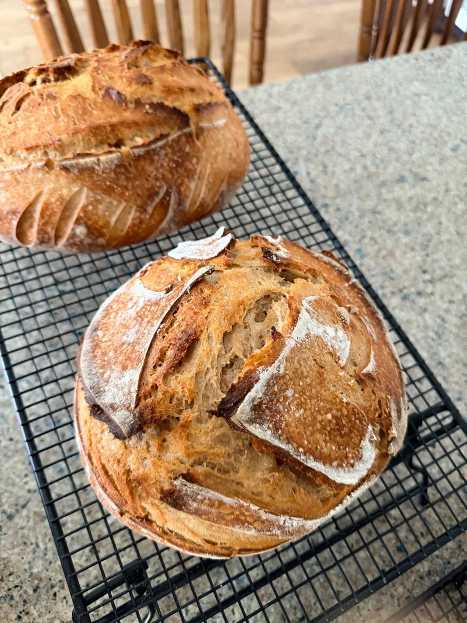 Two freshly baked round loaves of bread with a golden crust, cooling on a wire rack on a kitchen countertop.