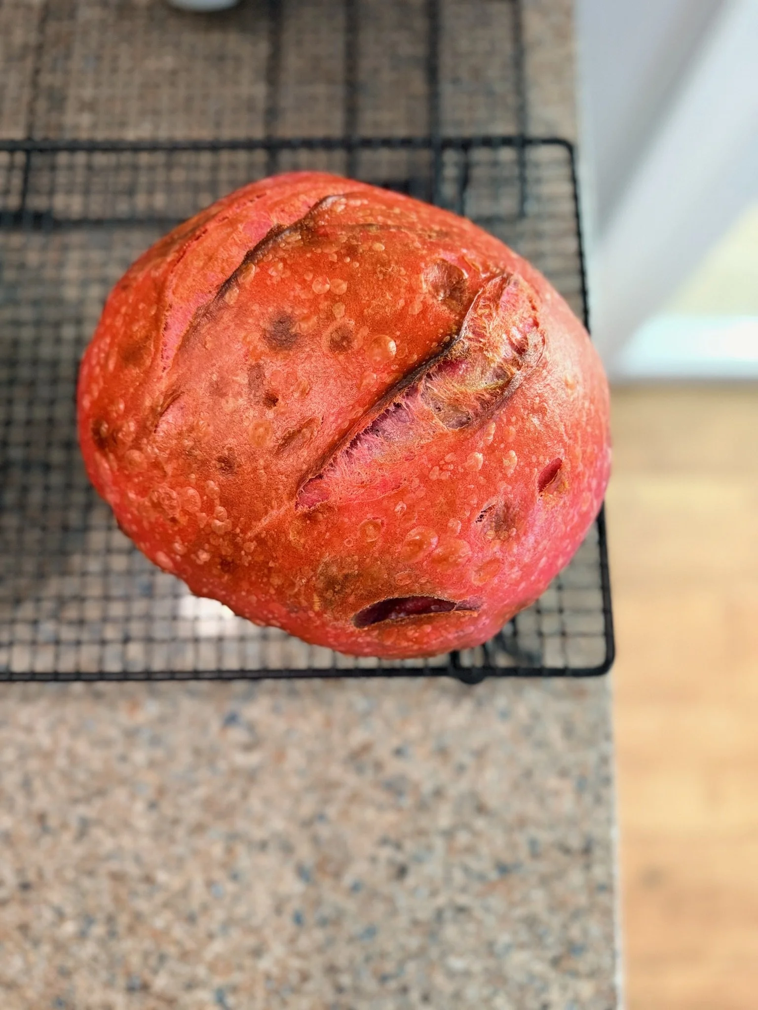 Close-up of a red apple with water droplets on its surface, resting on a black wire cooling rack.