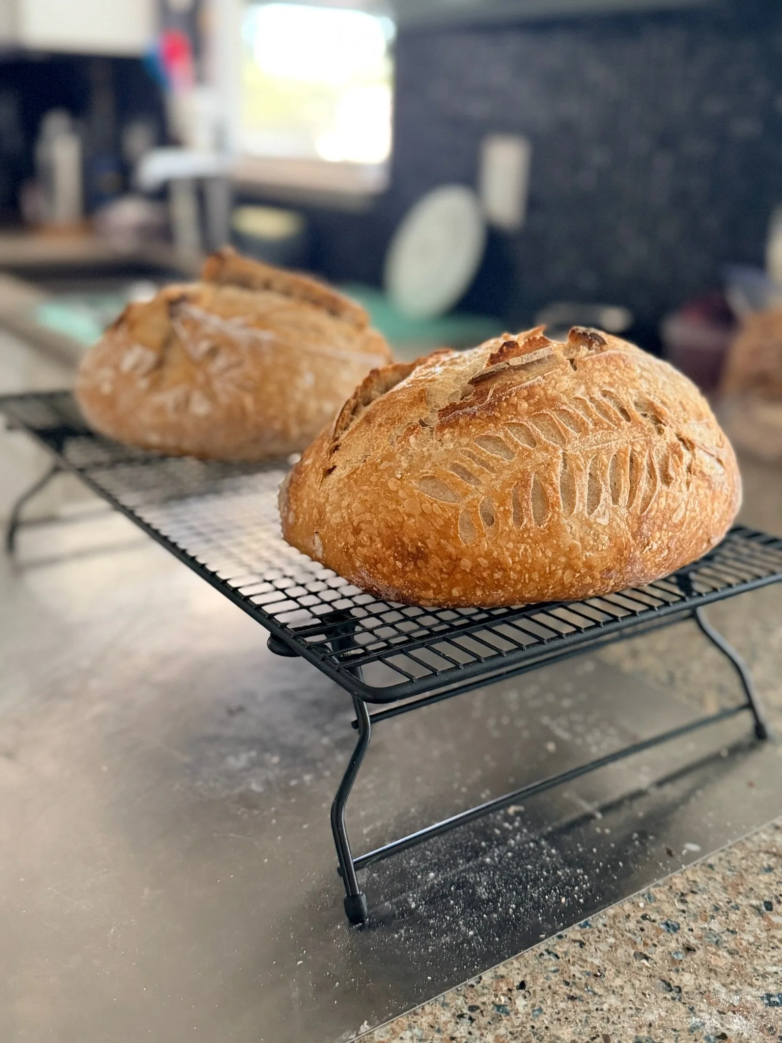 Freshly baked round loaves of bread cooling on a wire rack in a kitchen with a granite countertop.