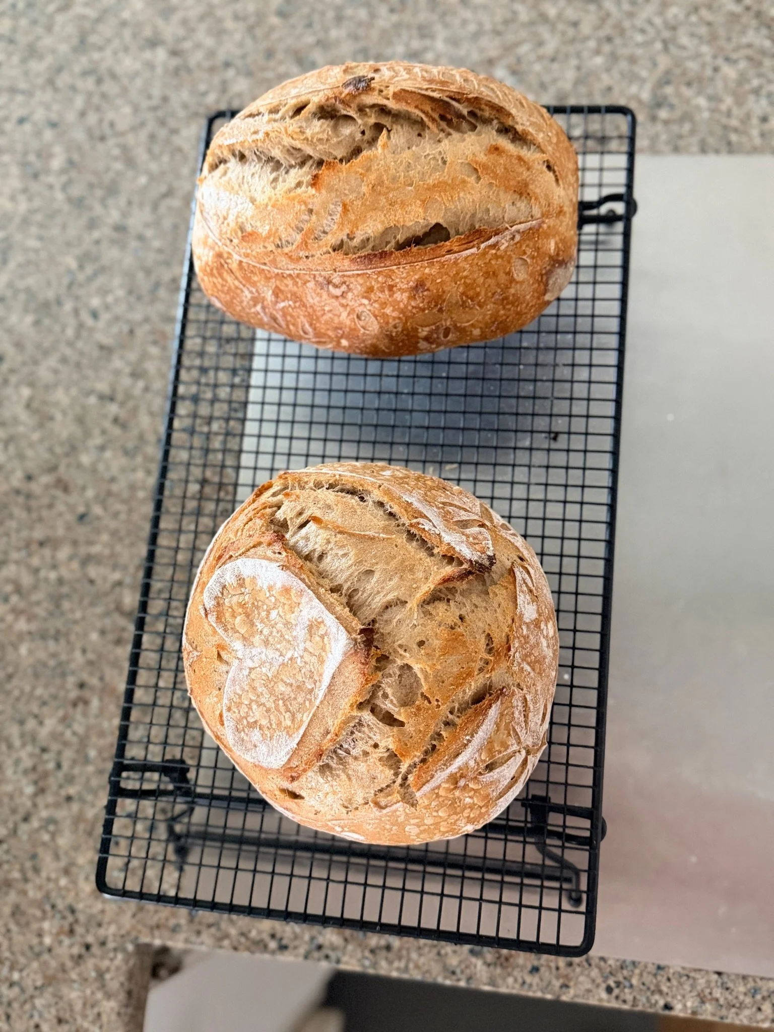 Two freshly baked round loaves of bread placed on a black cooling rack on a speckled kitchen countertop.