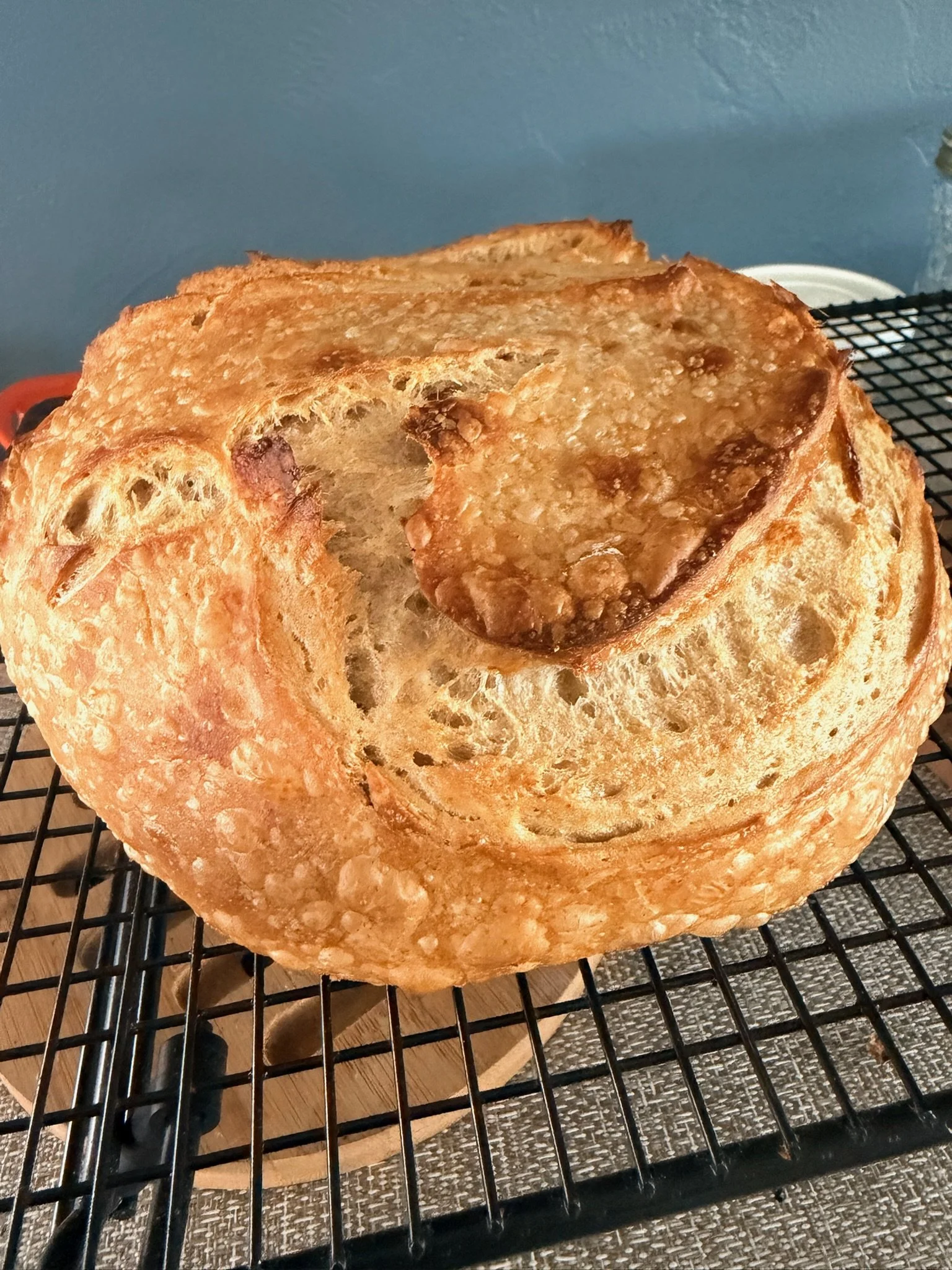 Close-up of a freshly baked round loaf of bread on a black cooling rack, with a golden-brown crust and airy interior.