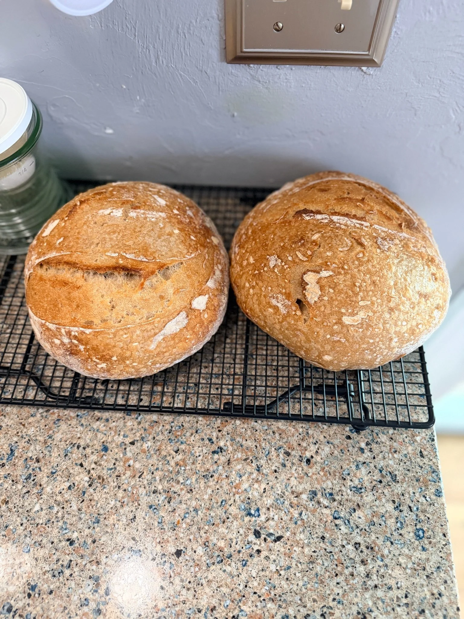 Two round loaves of bread on a cooling rack on a kitchen countertop.