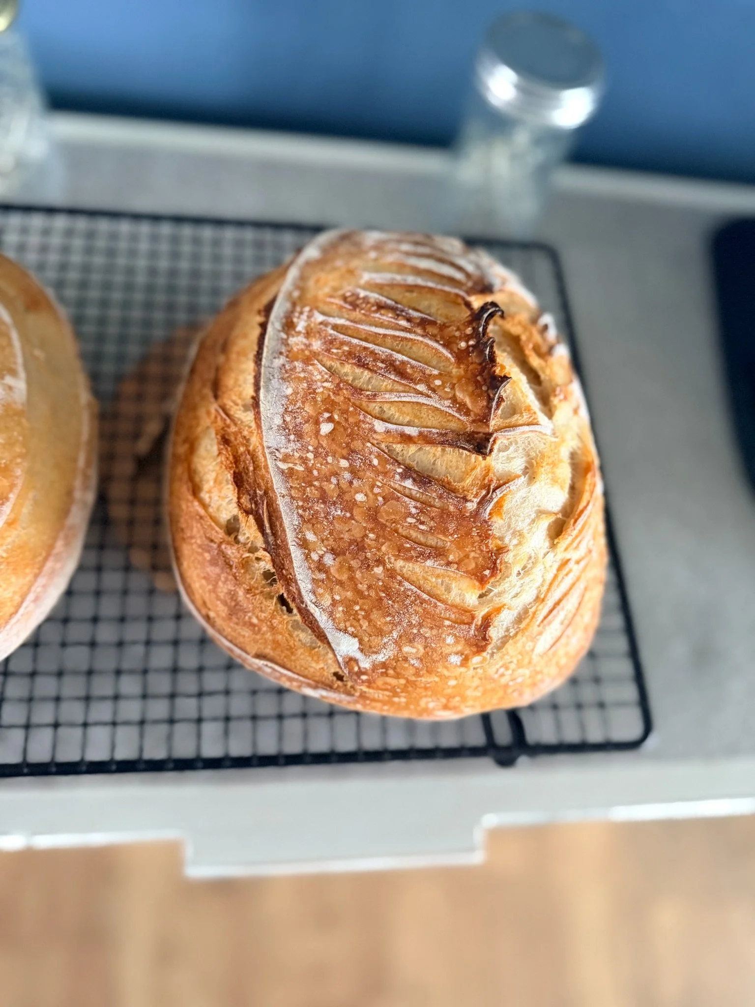 A close-up of a freshly baked loaf of bread with a golden crust, topped with sliced almonds and a dusting of powdered sugar, resting on a cooling rack.