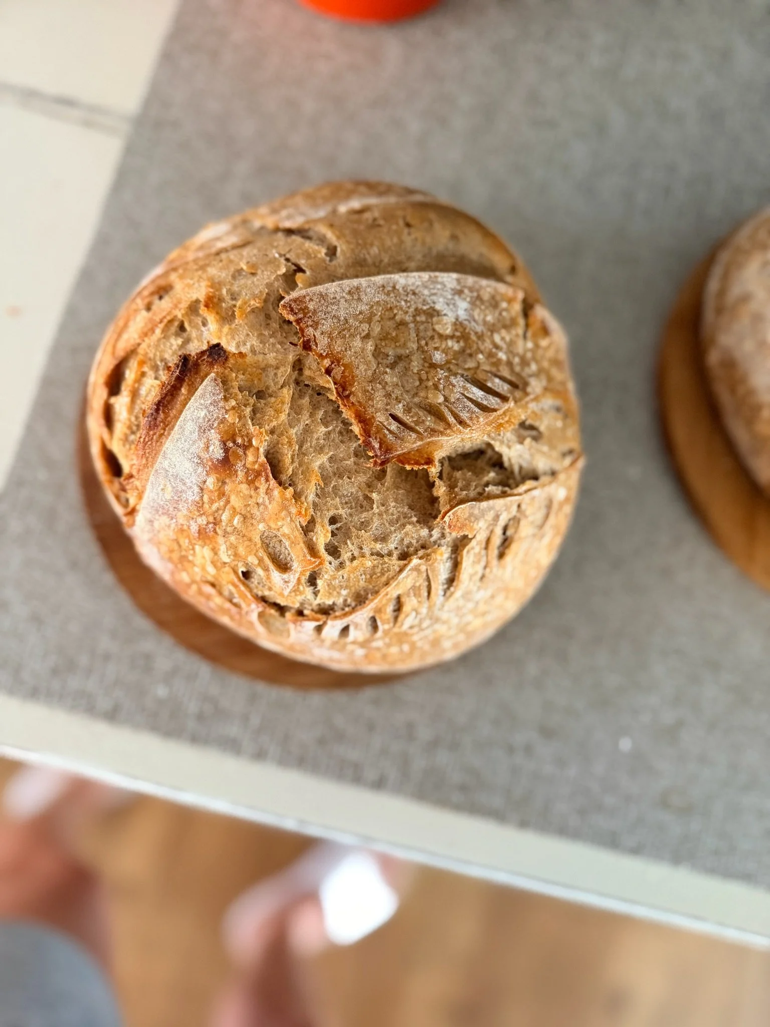 Close-up image of a loaf of bread with a piece broken off, resting on a gray surface.