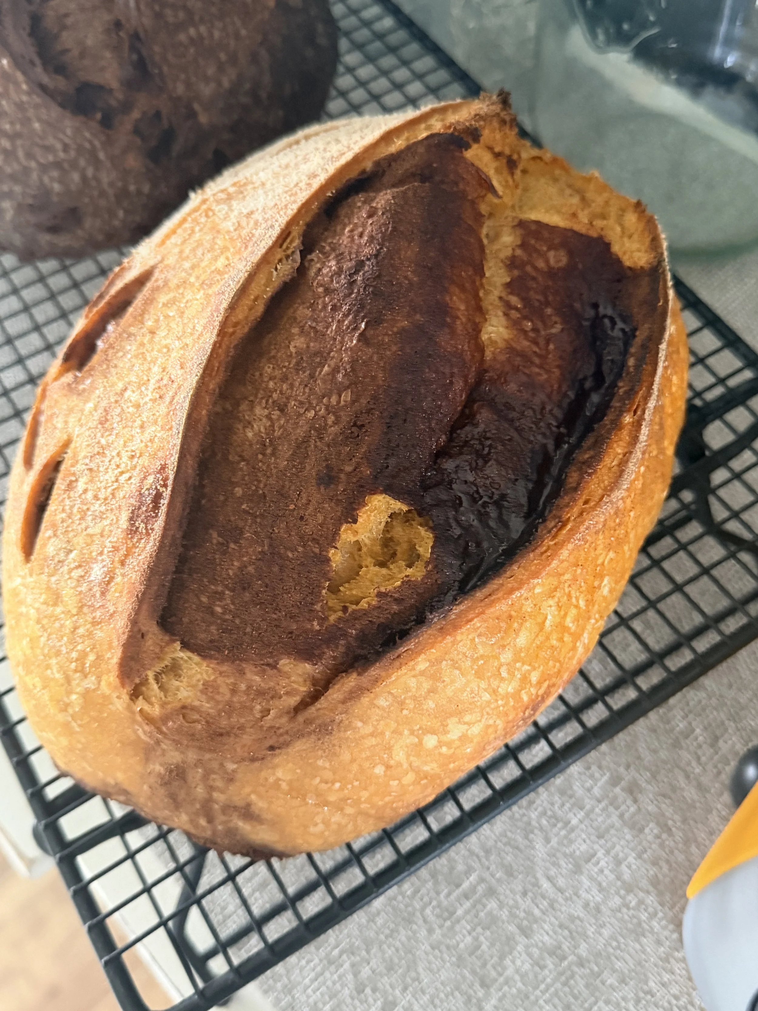 NEW!!! Pumpkin Patch Loaf