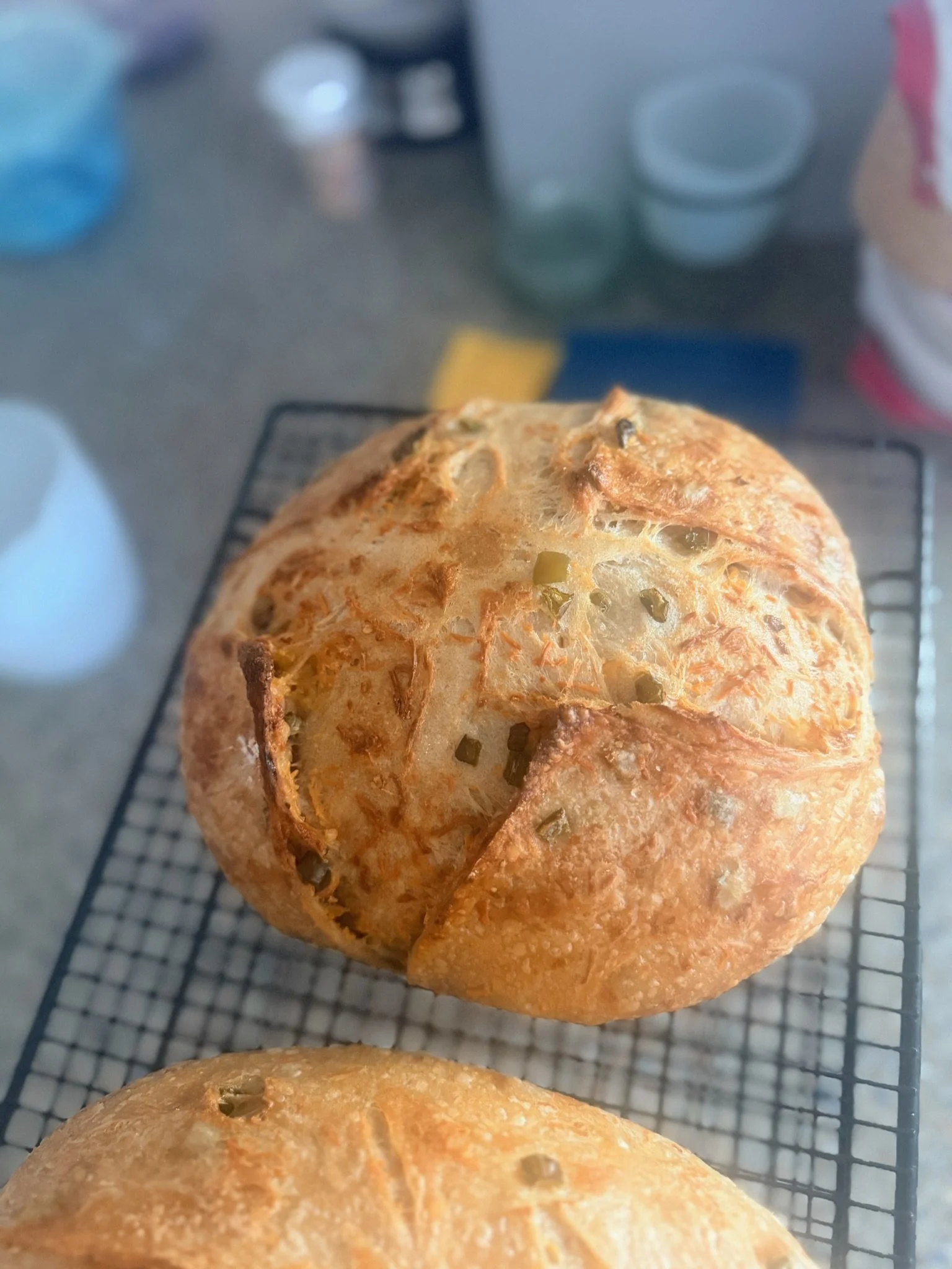 Freshly baked bread rolls with a crispy crust, cooling on a wire rack.
