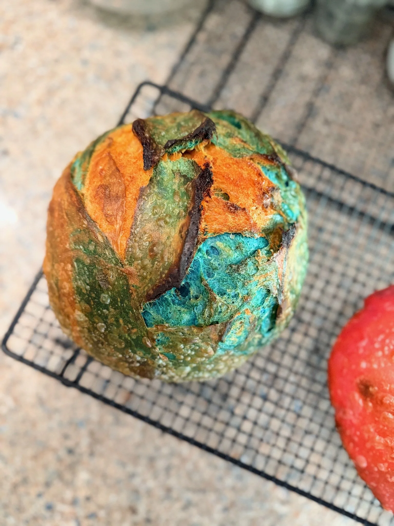 Decorative pumpkin with multicolored, textured surface sitting on a cooling rack next to a sliced strawberry.