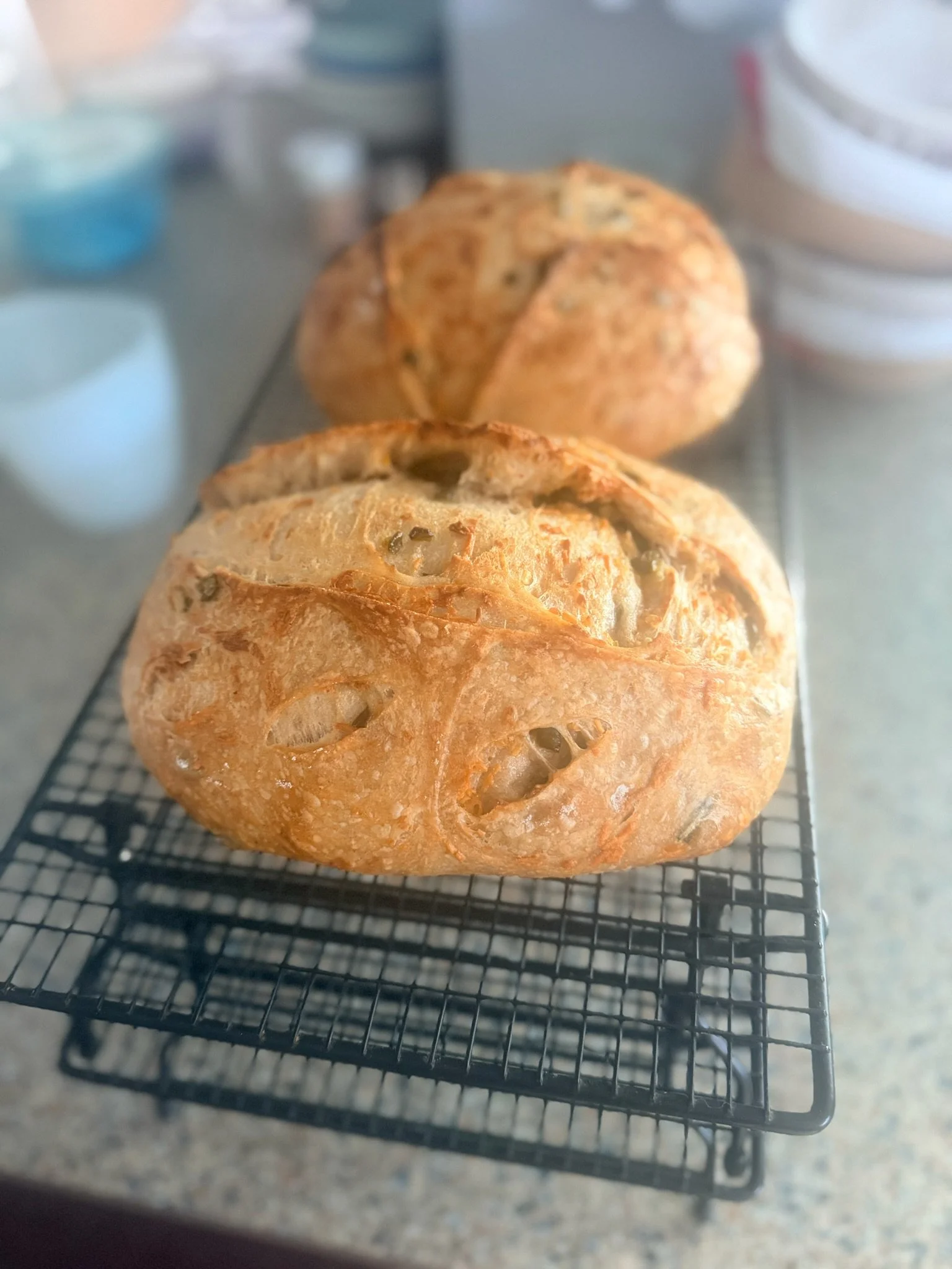 Two freshly baked bread rolls resting on a black cooling rack in a kitchen.