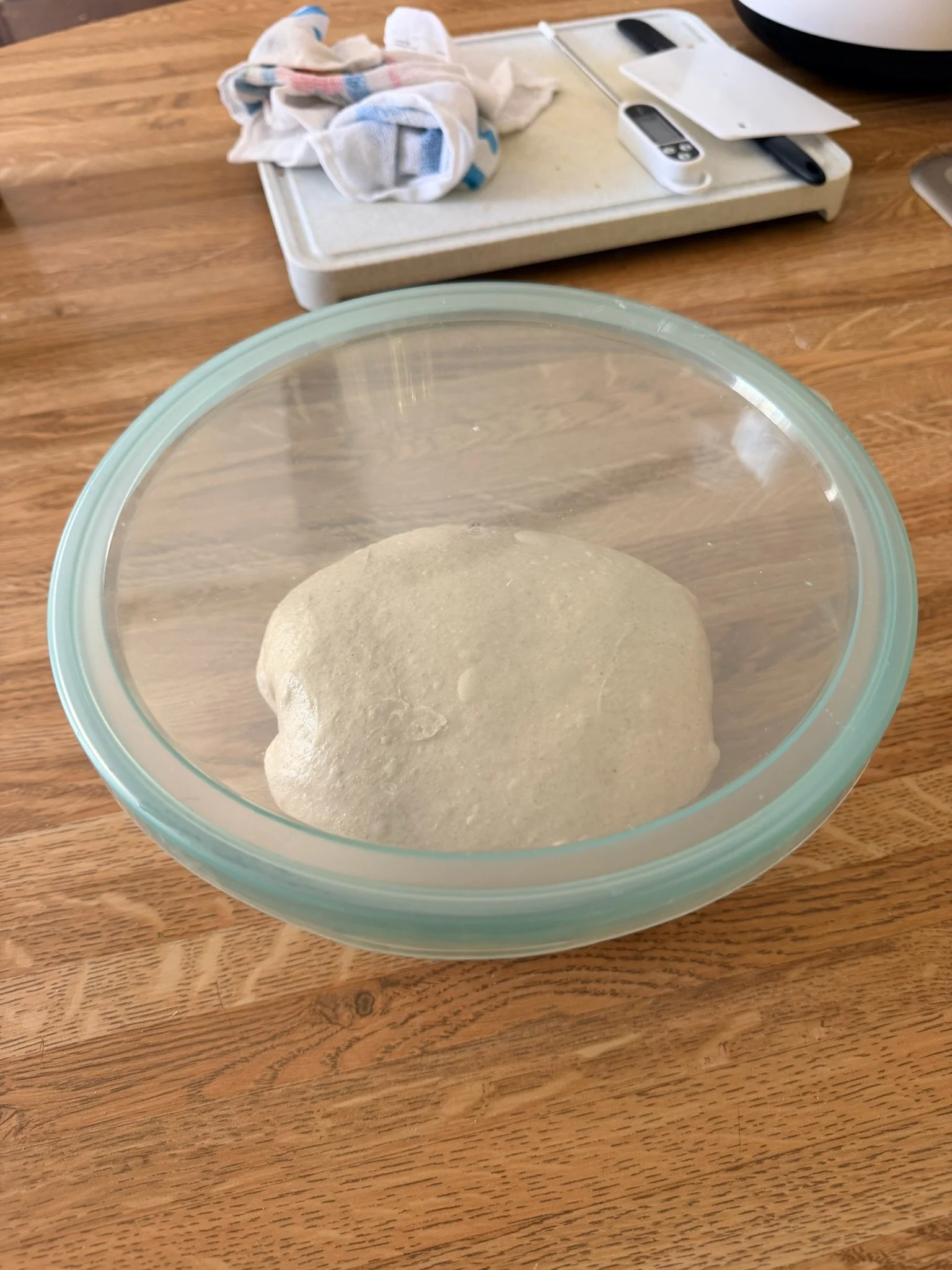 Bulk Fermentation Help