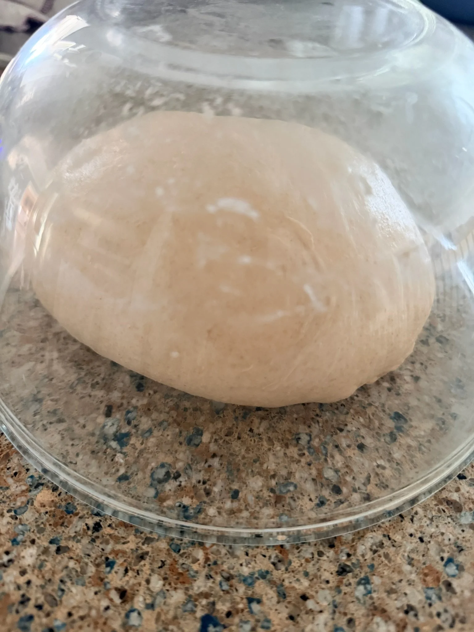 Close-up of a clear plastic container filled with beige bread dough on a speckled countertop.